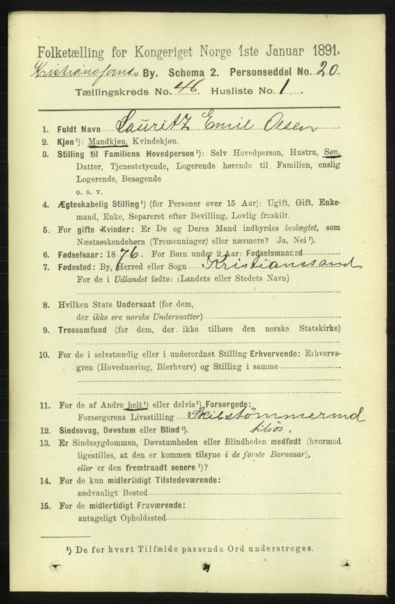 RA, 1891 census for 1001 Kristiansand, 1891, p. 14019