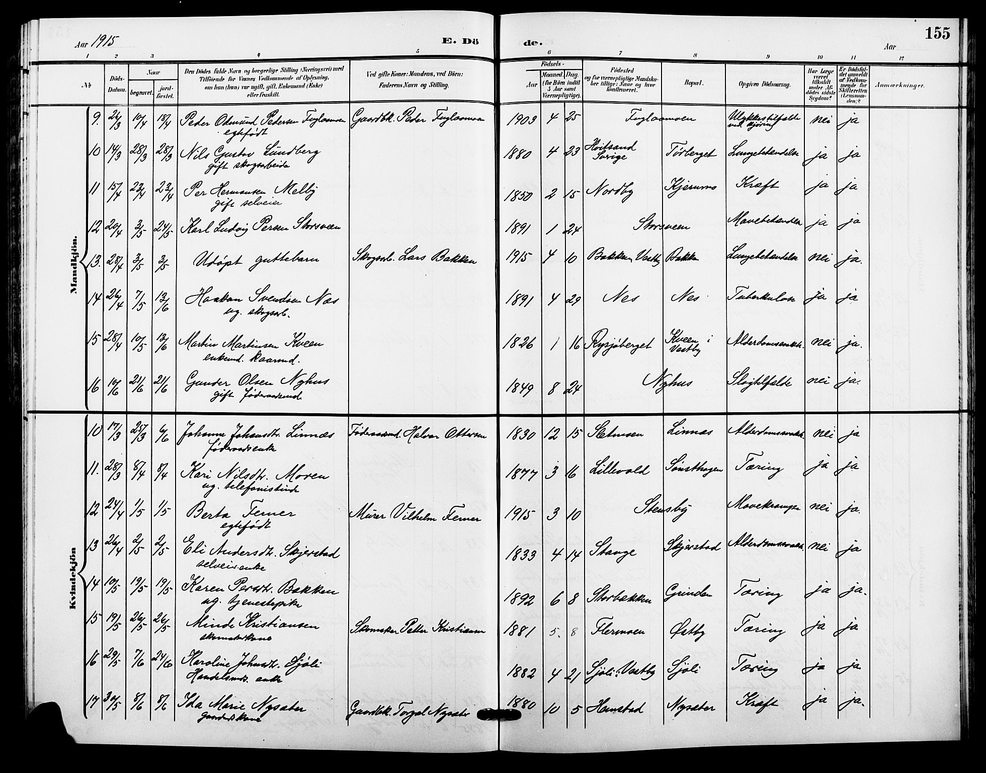 Trysil prestekontor, AV/SAH-PREST-046/H/Ha/Hab/L0009: Parish register (copy) no. 9, 1904-1924, p. 155