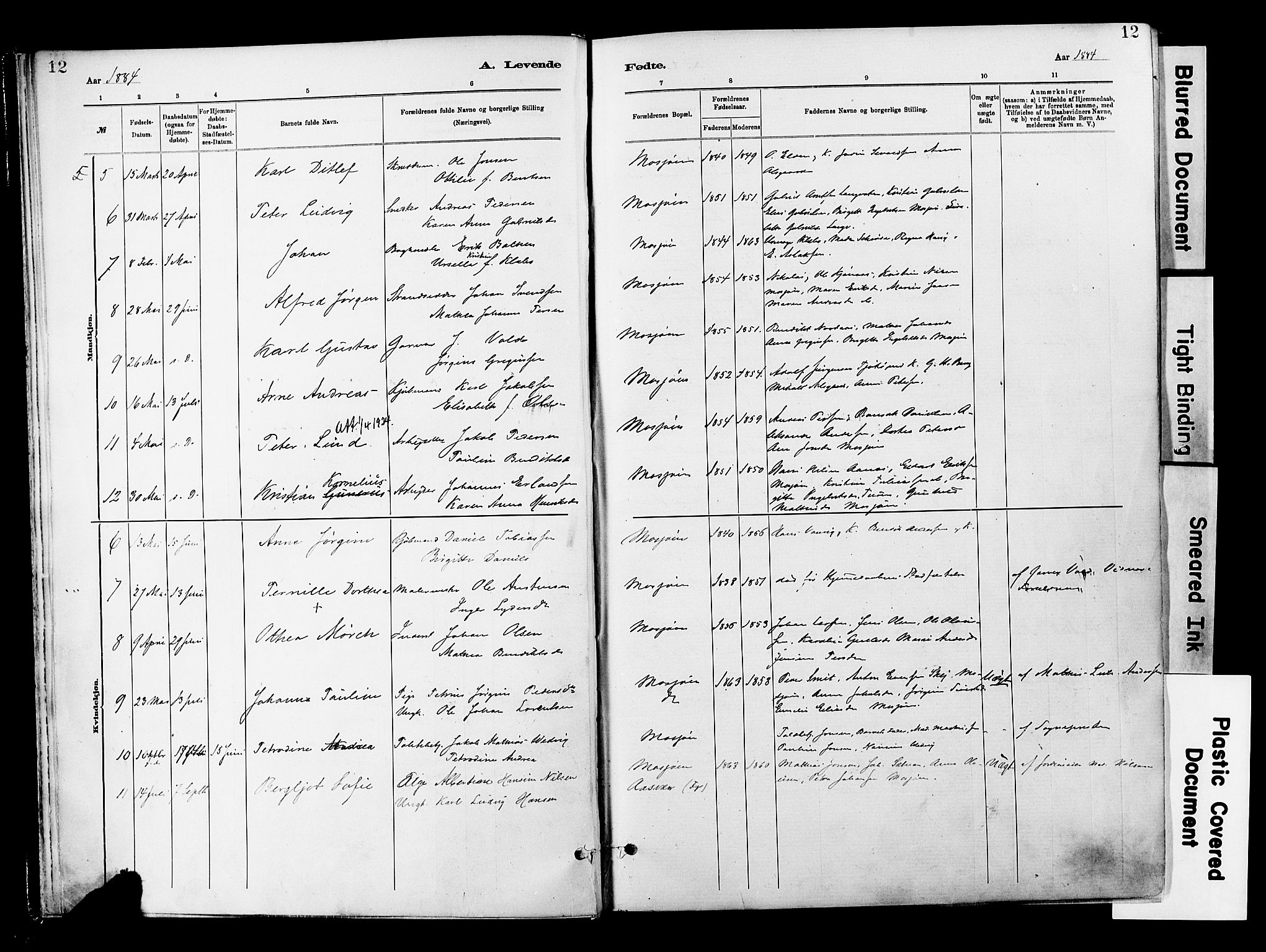 Ministerialprotokoller, klokkerbøker og fødselsregistre - Nordland, SAT/A-1459/820/L0296: Parish register (official) no. 820A17, 1880-1903, p. 12