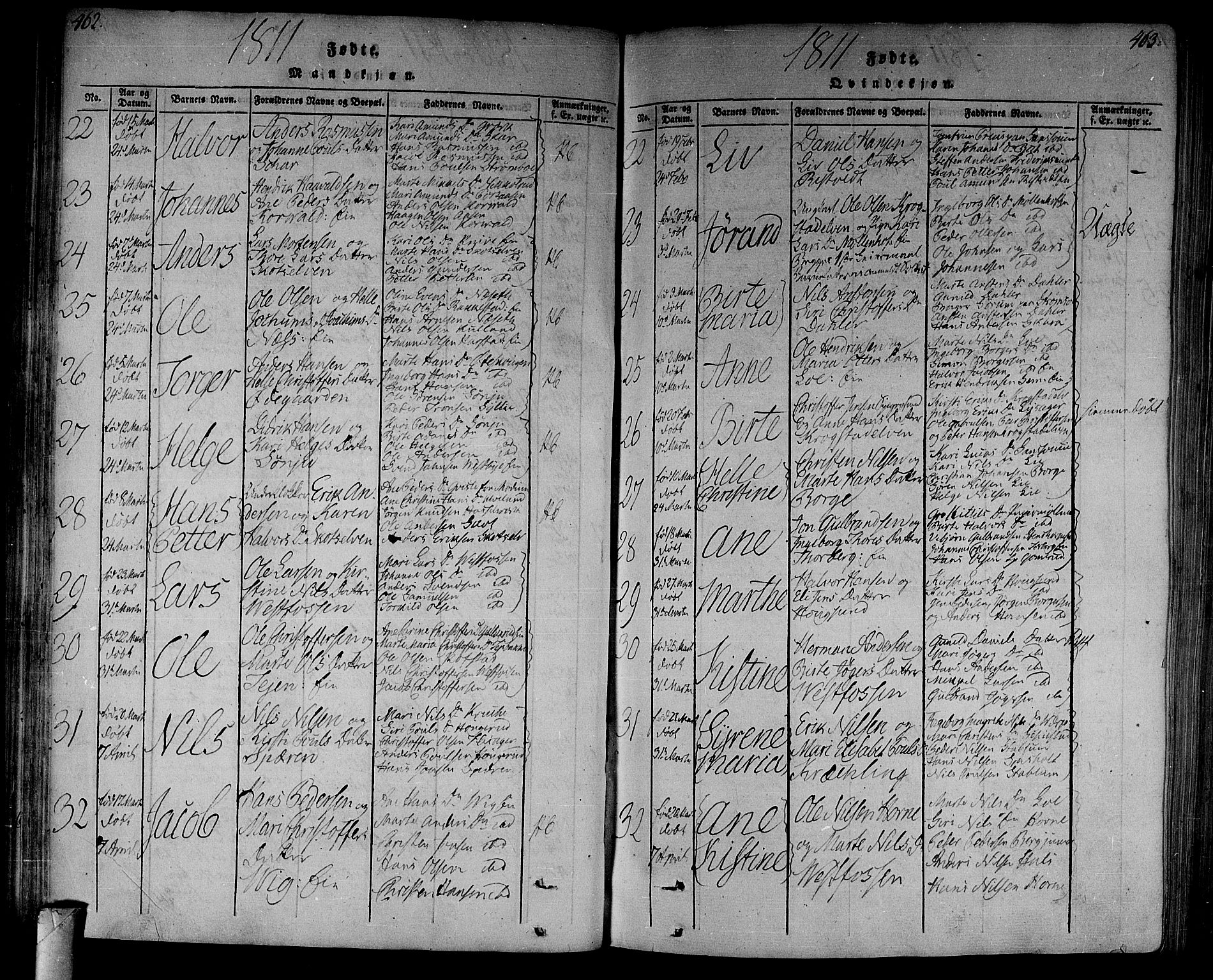 Eiker kirkebøker, AV/SAKO-A-4/F/Fa/L0010: Parish register (official) no. I 10, 1806-1815, p. 462-463