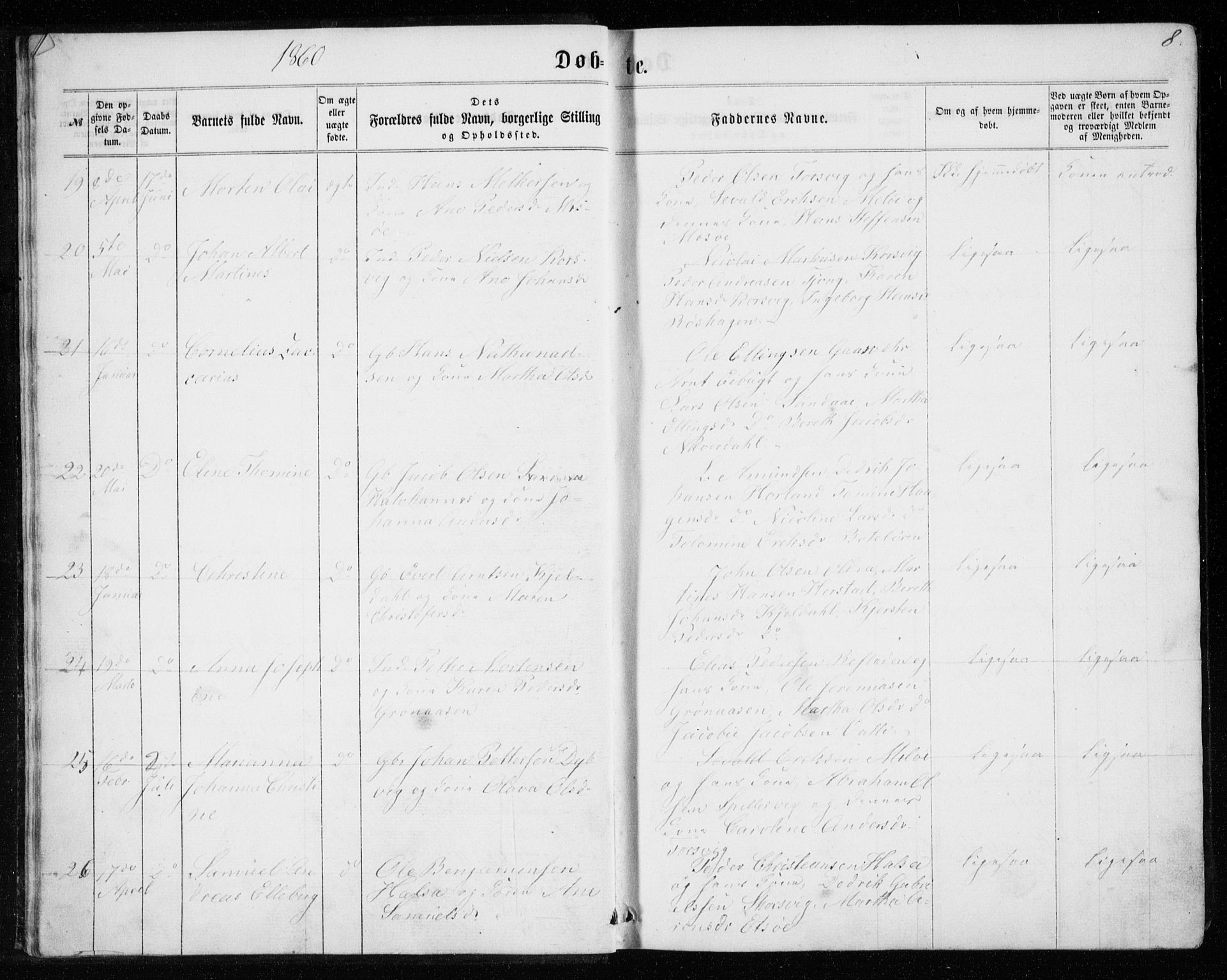 Ministerialprotokoller, klokkerbøker og fødselsregistre - Nordland, AV/SAT-A-1459/843/L0634: Parish register (copy) no. 843C03, 1860-1884, p. 8