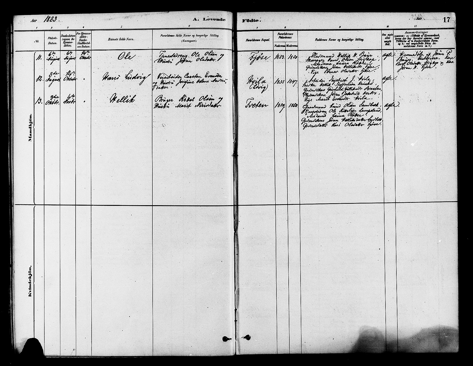 Flesberg kirkebøker, AV/SAKO-A-18/F/Fb/L0001: Parish register (official) no. II 1, 1879-1907, p. 17