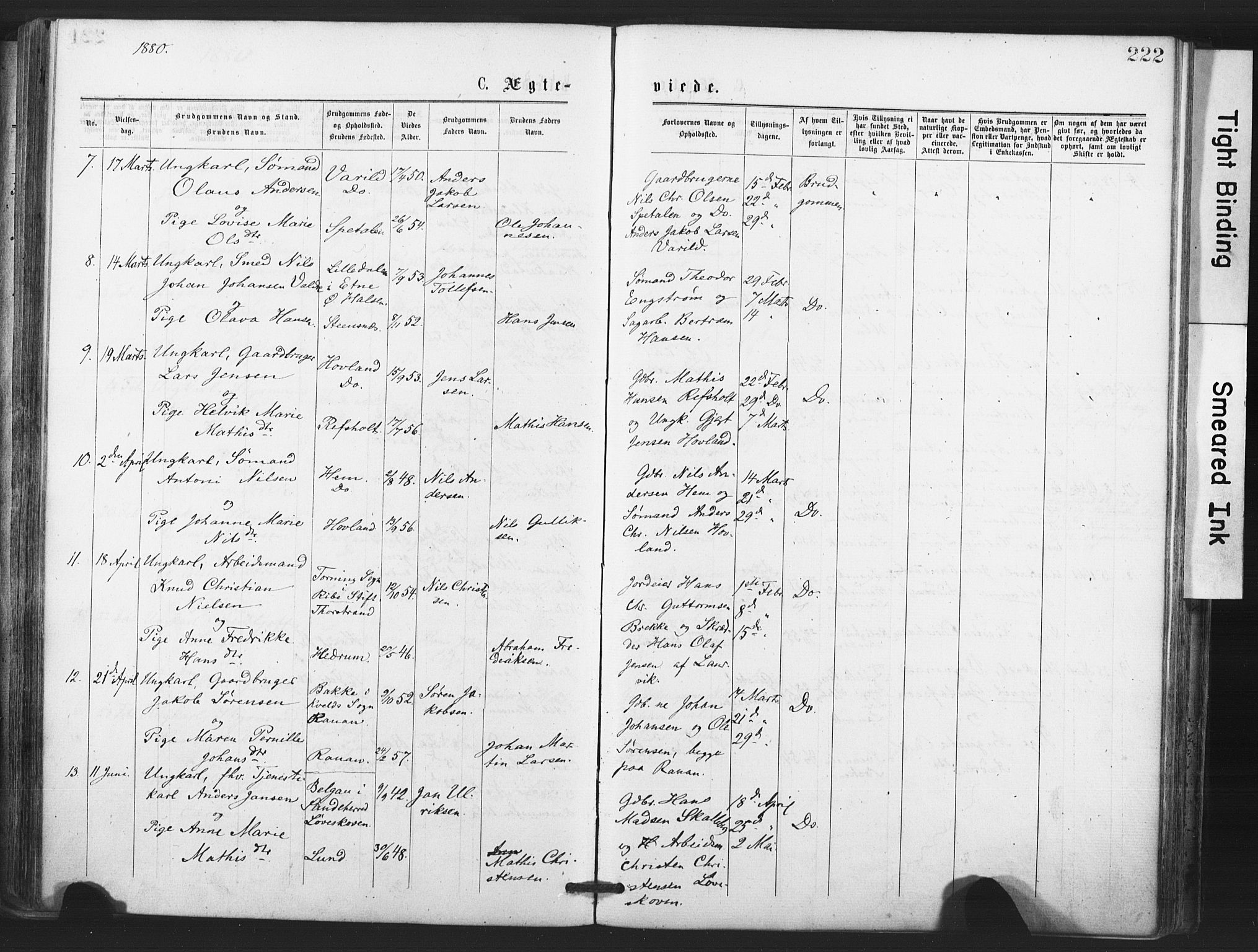 Tjølling kirkebøker, AV/SAKO-A-60/F/Fa/L0008: Parish register (official) no. 8, 1877-1886, p. 222