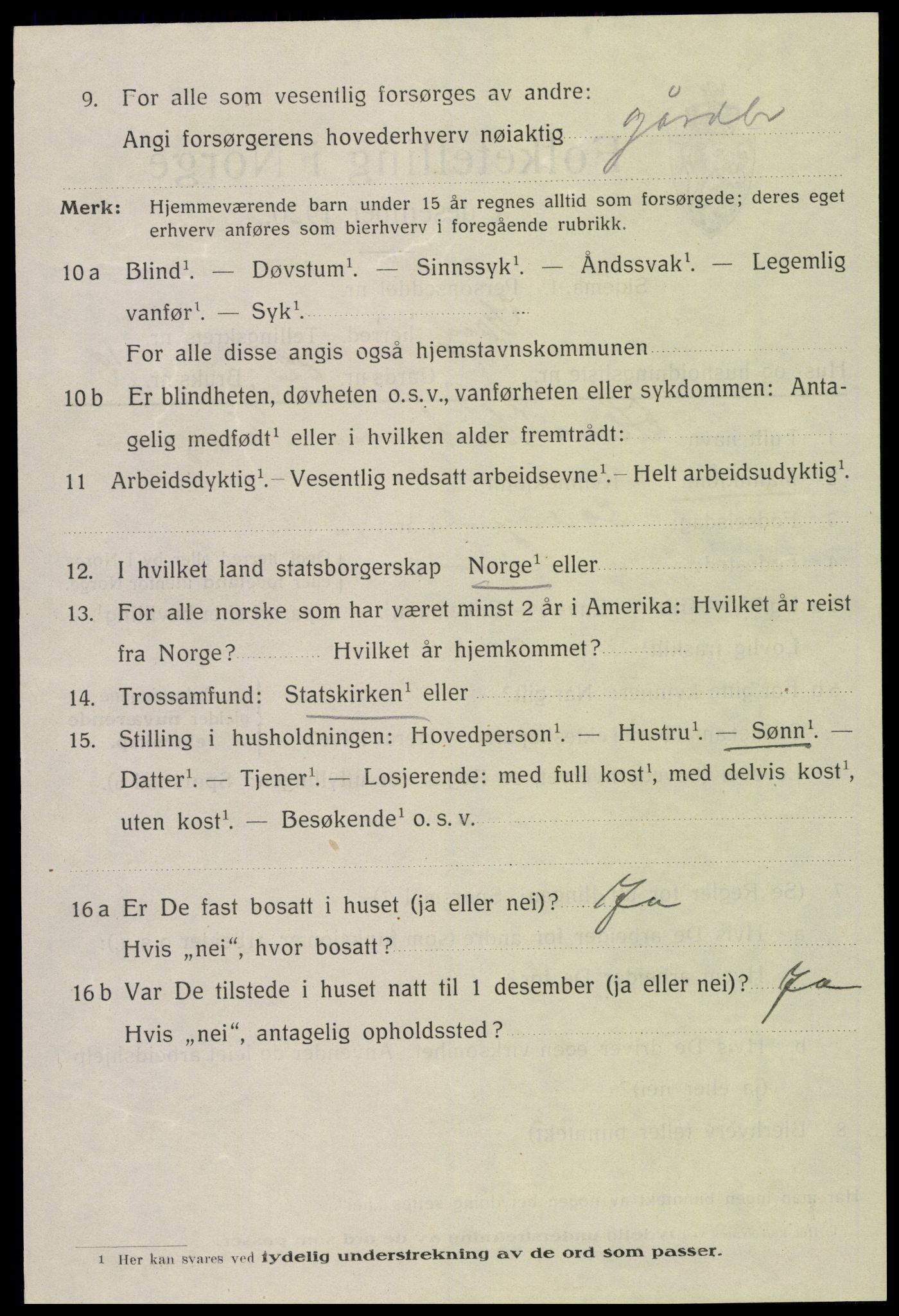 SAH, 1920 census for Vang (Hedmark), 1920, p. 17012