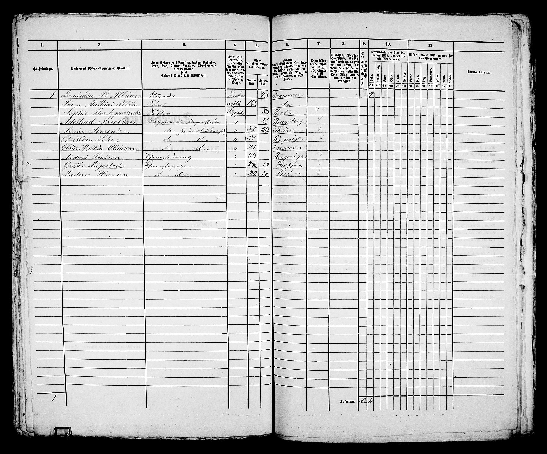 RA, 1865 census for Bragernes in Drammen, 1865, p. 411