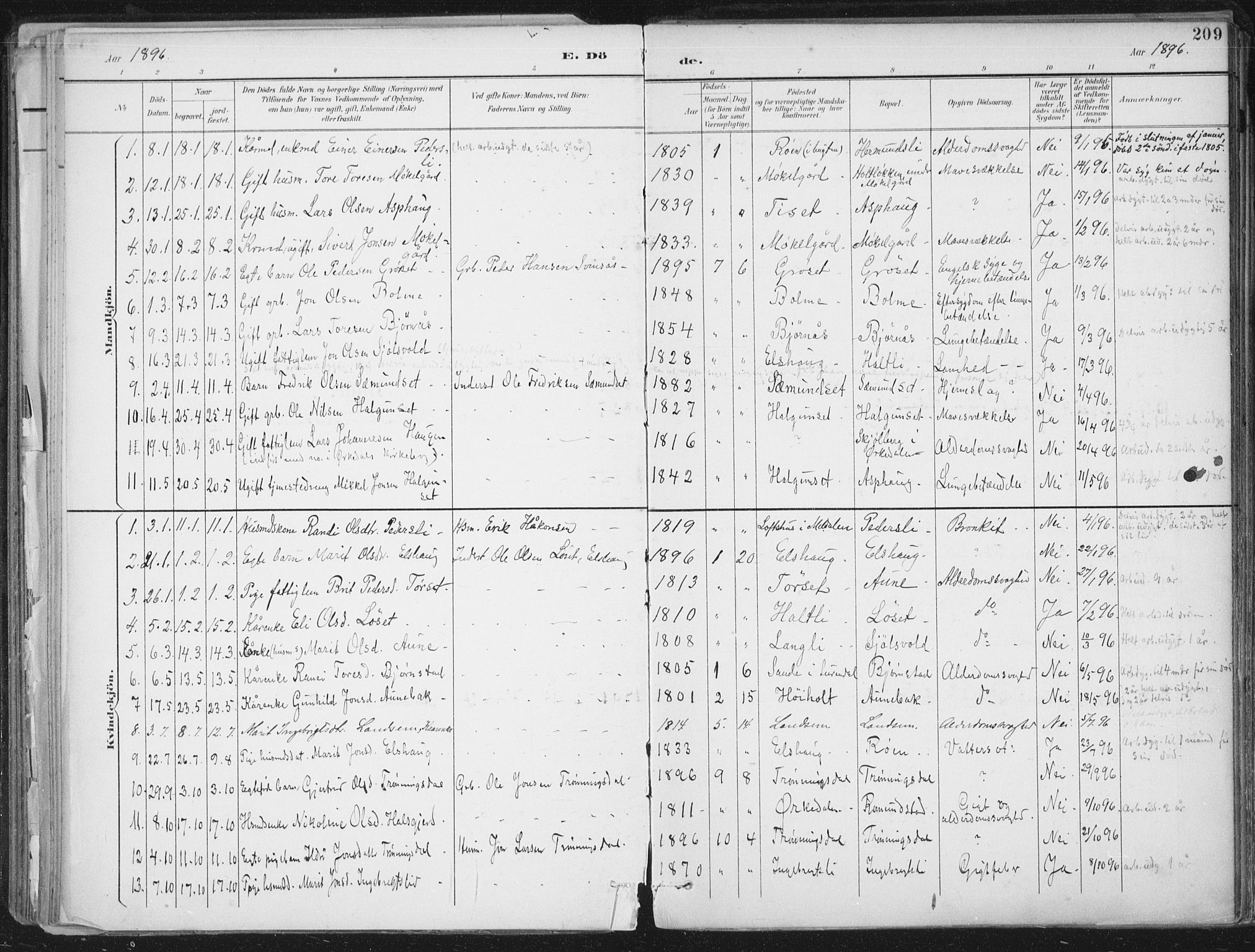 Ministerialprotokoller, klokkerbøker og fødselsregistre - Møre og Romsdal, AV/SAT-A-1454/598/L1072: Parish register (official) no. 598A06, 1896-1910, p. 209