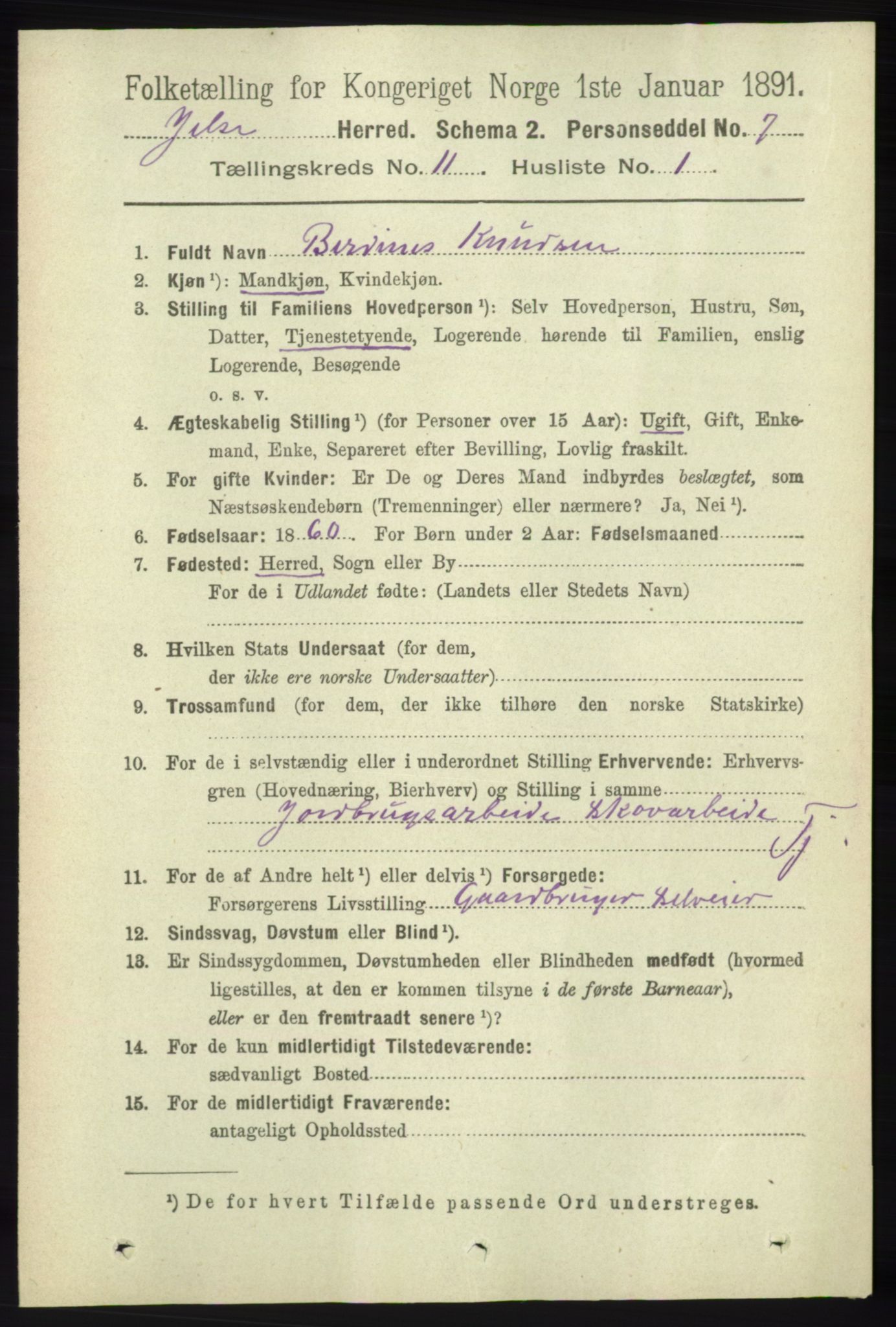 RA, 1891 census for 1138 Jelsa, 1891, p. 2778