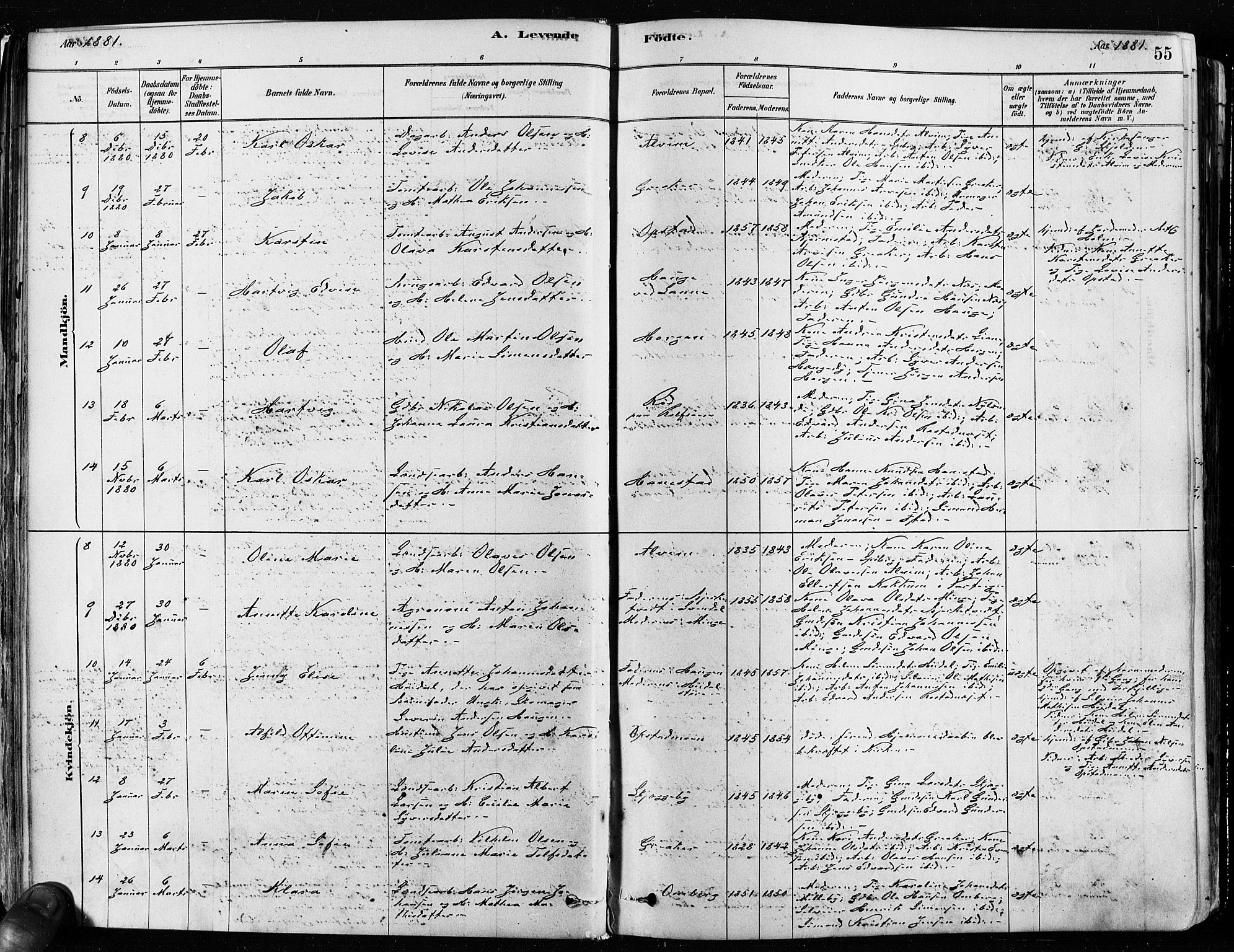 Tune prestekontor Kirkebøker, SAO/A-2007/F/Fa/L0017: Parish register (official) no. 17, 1878-1887, p. 55