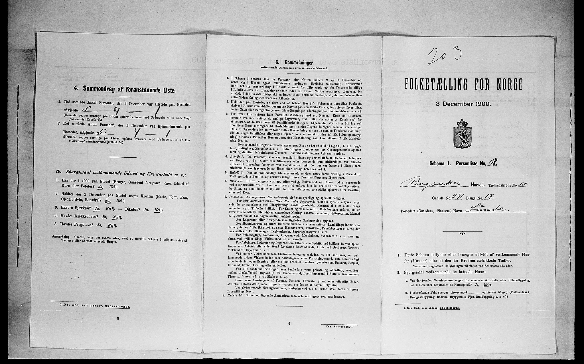 SAH, 1900 census for Ringsaker, 1900, p. 1907