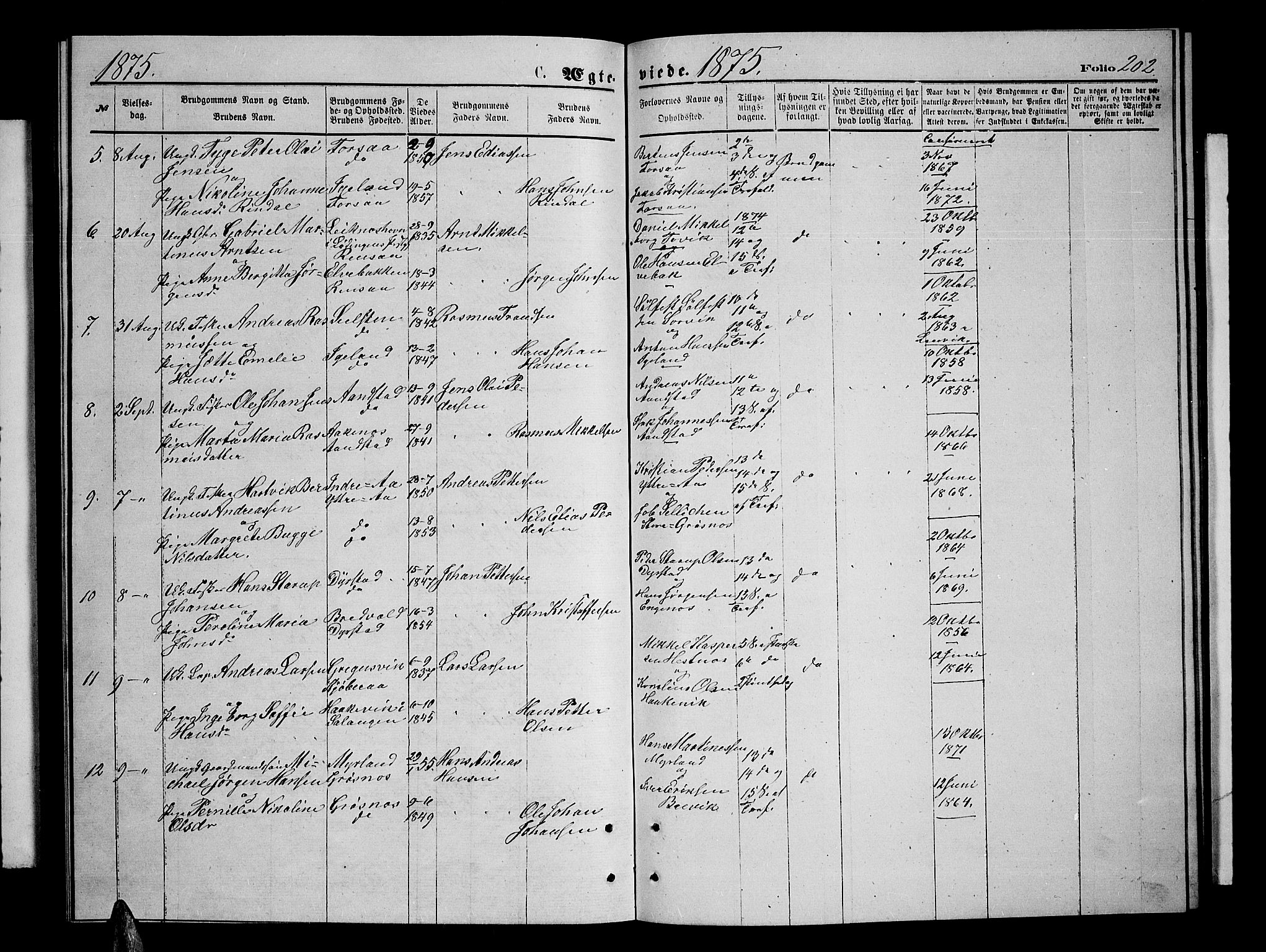 Ibestad sokneprestembete, SATØ/S-0077/H/Ha/Hab/L0006klokker: Parish register (copy) no. 6, 1871-1879, p. 202