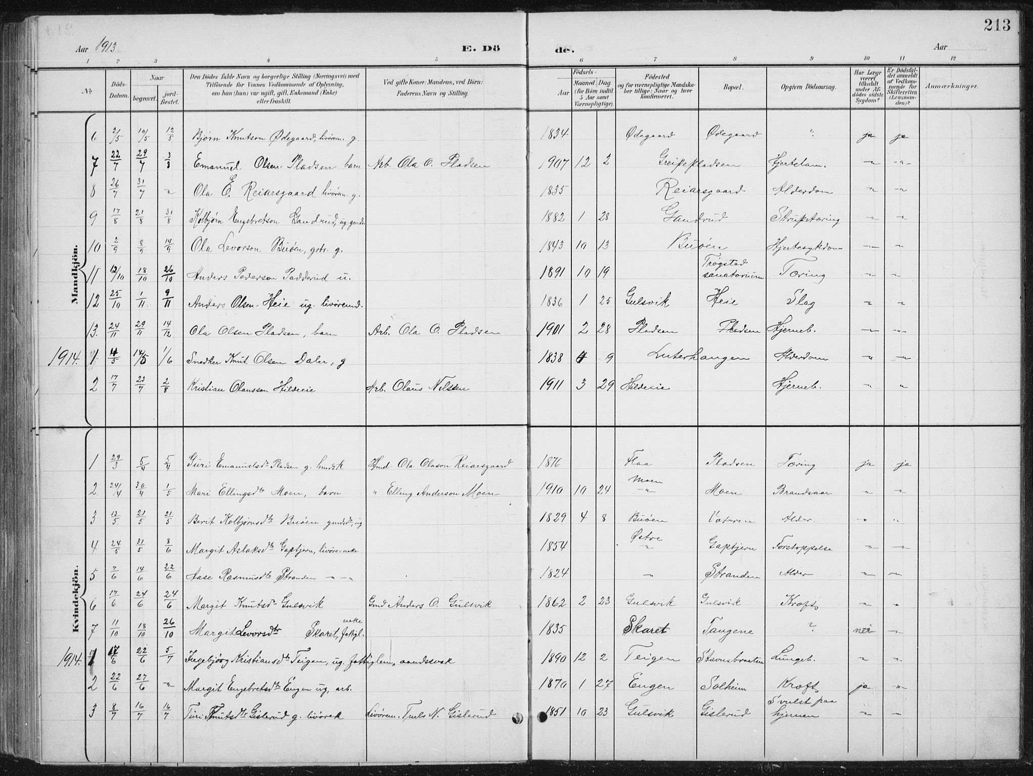 Nes kirkebøker, AV/SAKO-A-236/G/Gb/L0001: Parish register (copy) no. II 1, 1901-1939, p. 213