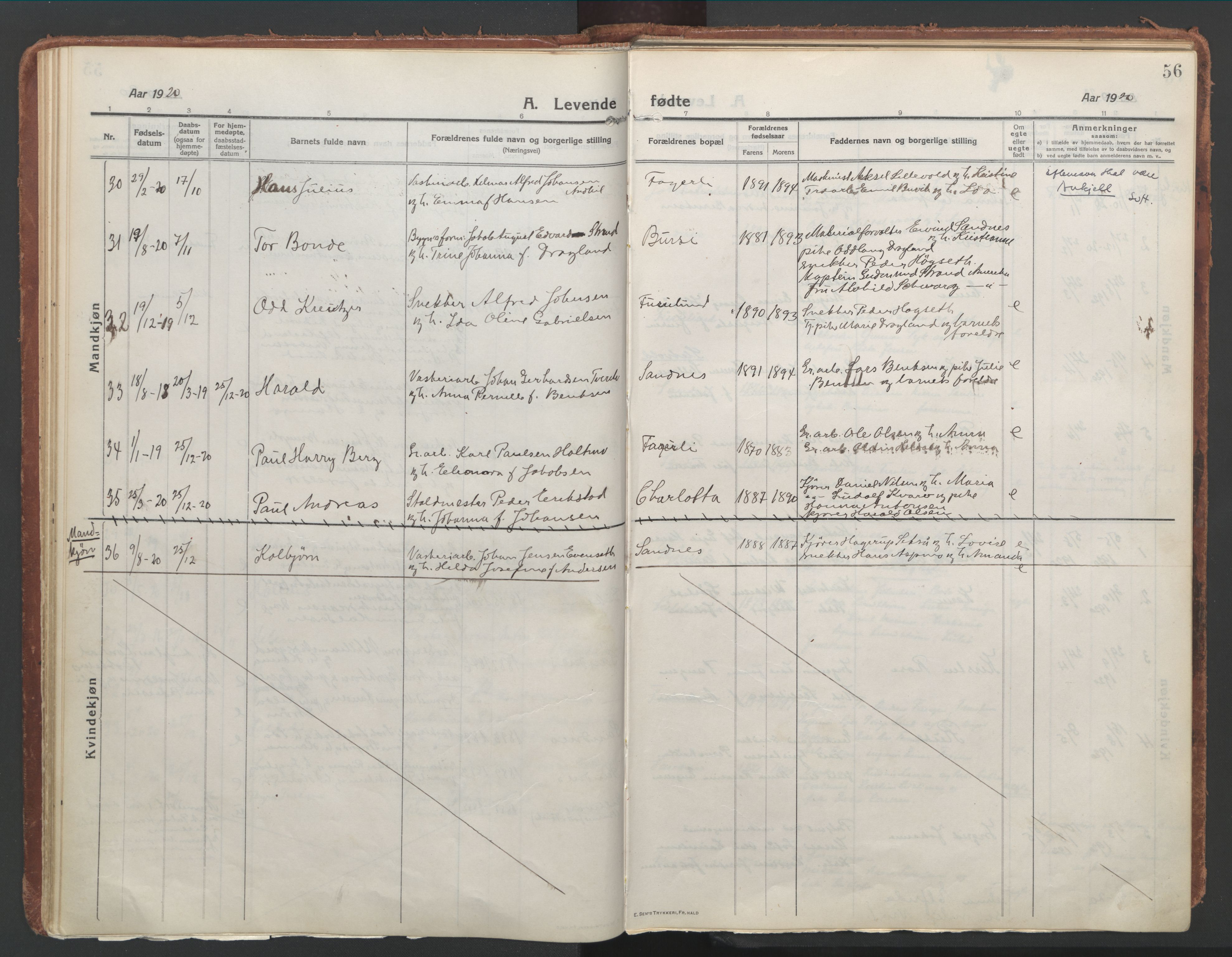 Ministerialprotokoller, klokkerbøker og fødselsregistre - Nordland, AV/SAT-A-1459/850/L0715: Curate's parish register no. 850B05, 1913-1924, p. 56