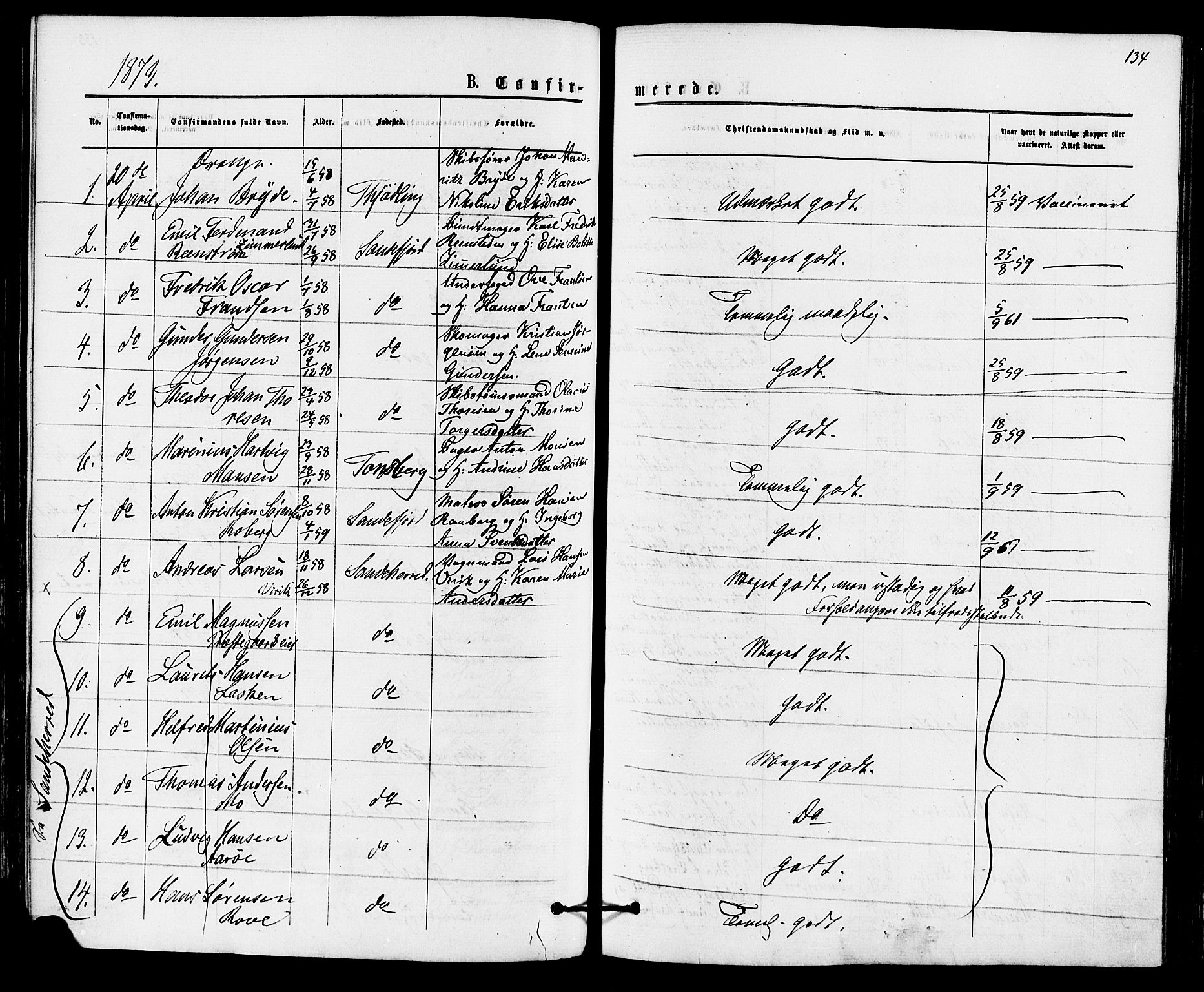 Sandefjord kirkebøker, AV/SAKO-A-315/F/Fa/L0001: Parish register (official) no. 1, 1873-1879, p. 134