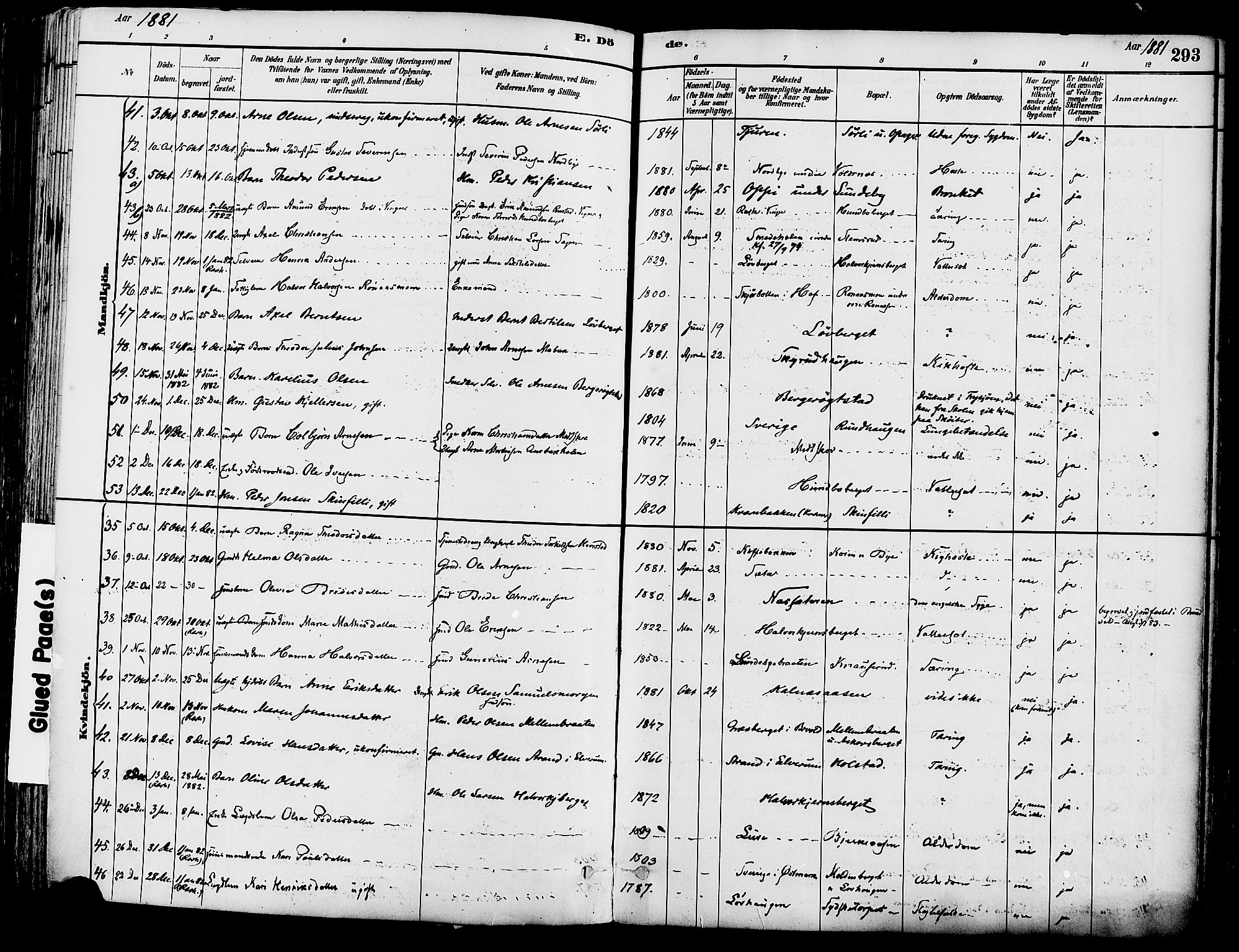 Grue prestekontor, SAH/PREST-036/H/Ha/Haa/L0012: Parish register (official) no. 12, 1881-1897, p. 293