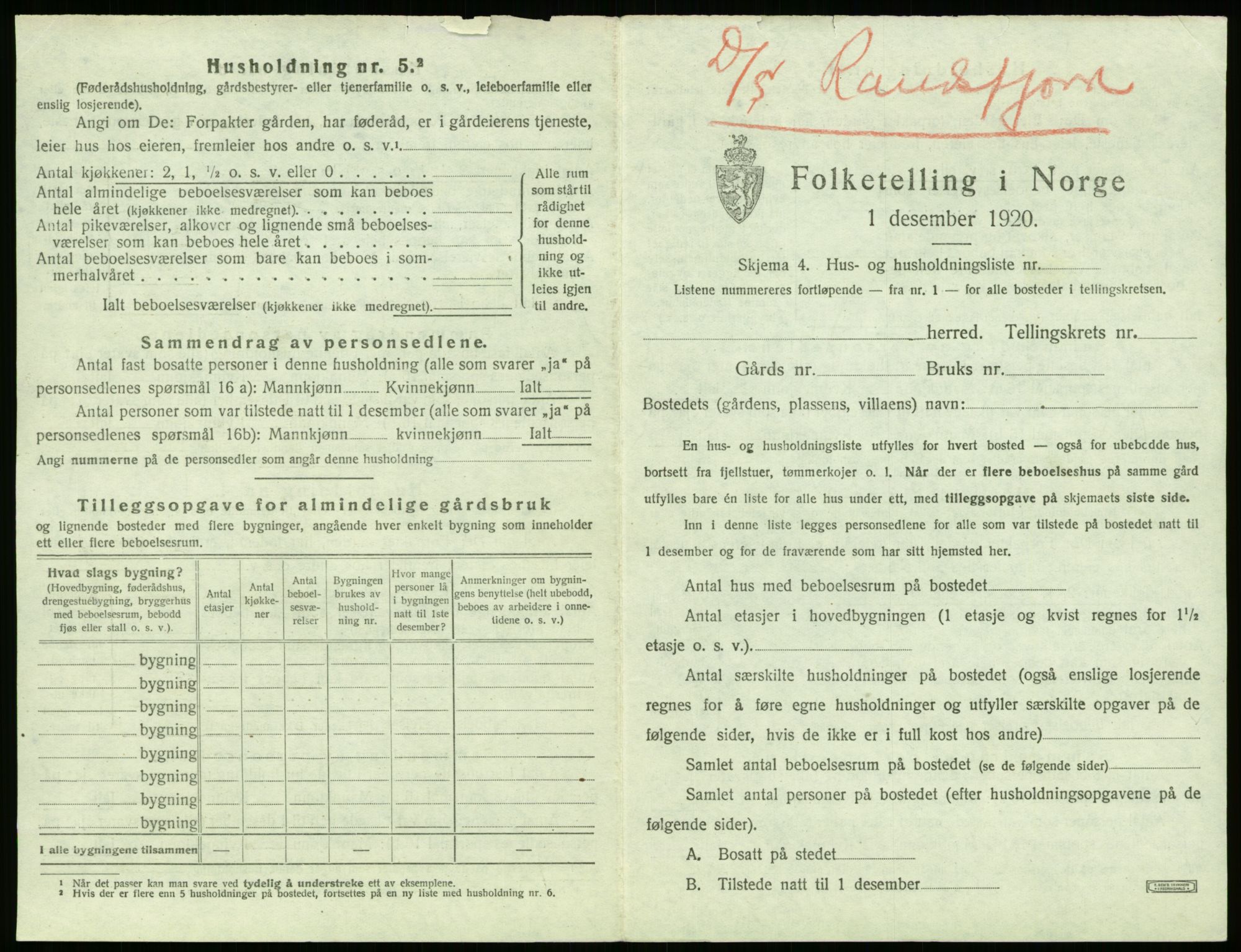 RA, 1920 census: Additional forms, 1920, p. 19