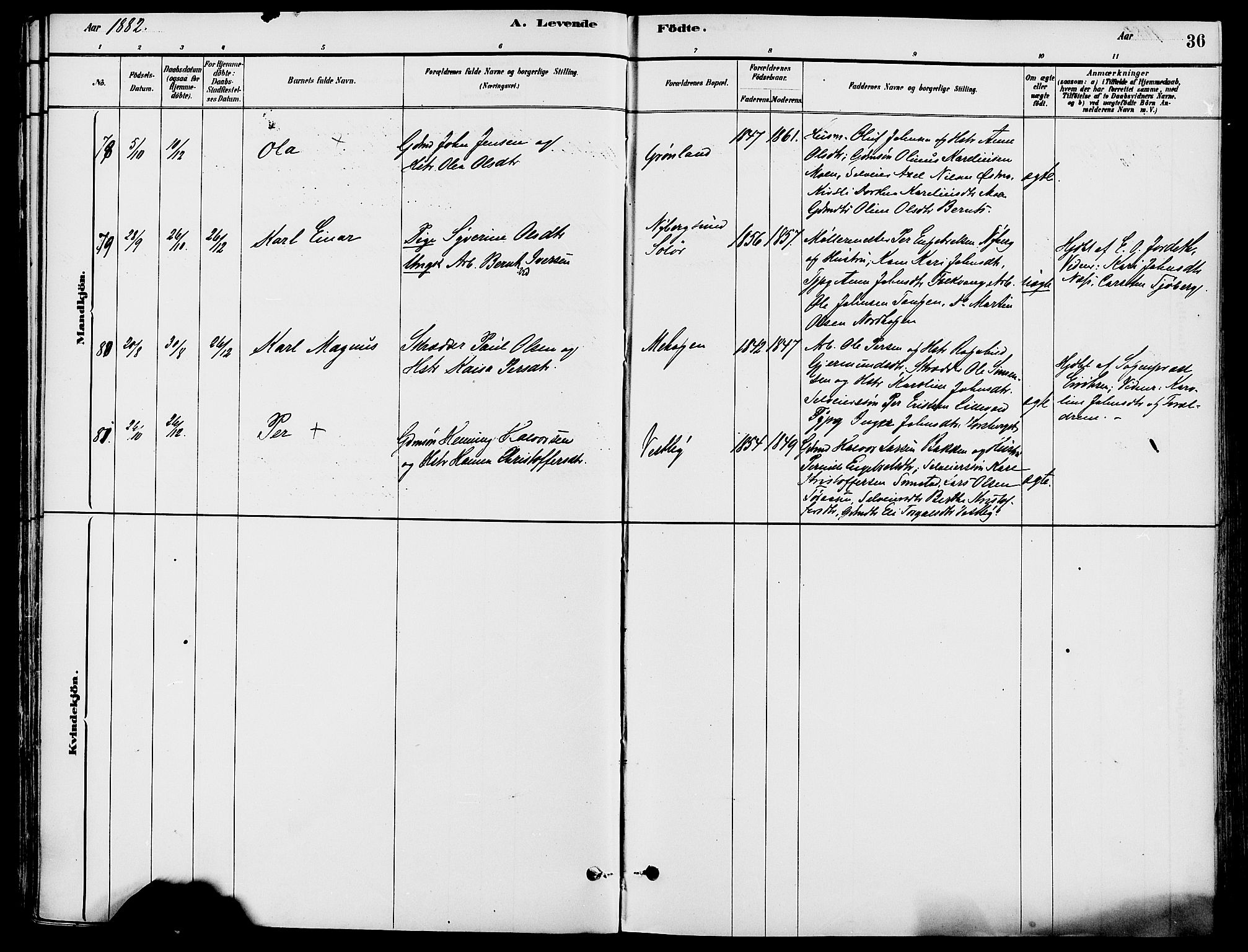 Trysil prestekontor, AV/SAH-PREST-046/H/Ha/Haa/L0008: Parish register (official) no. 8, 1881-1897, p. 36