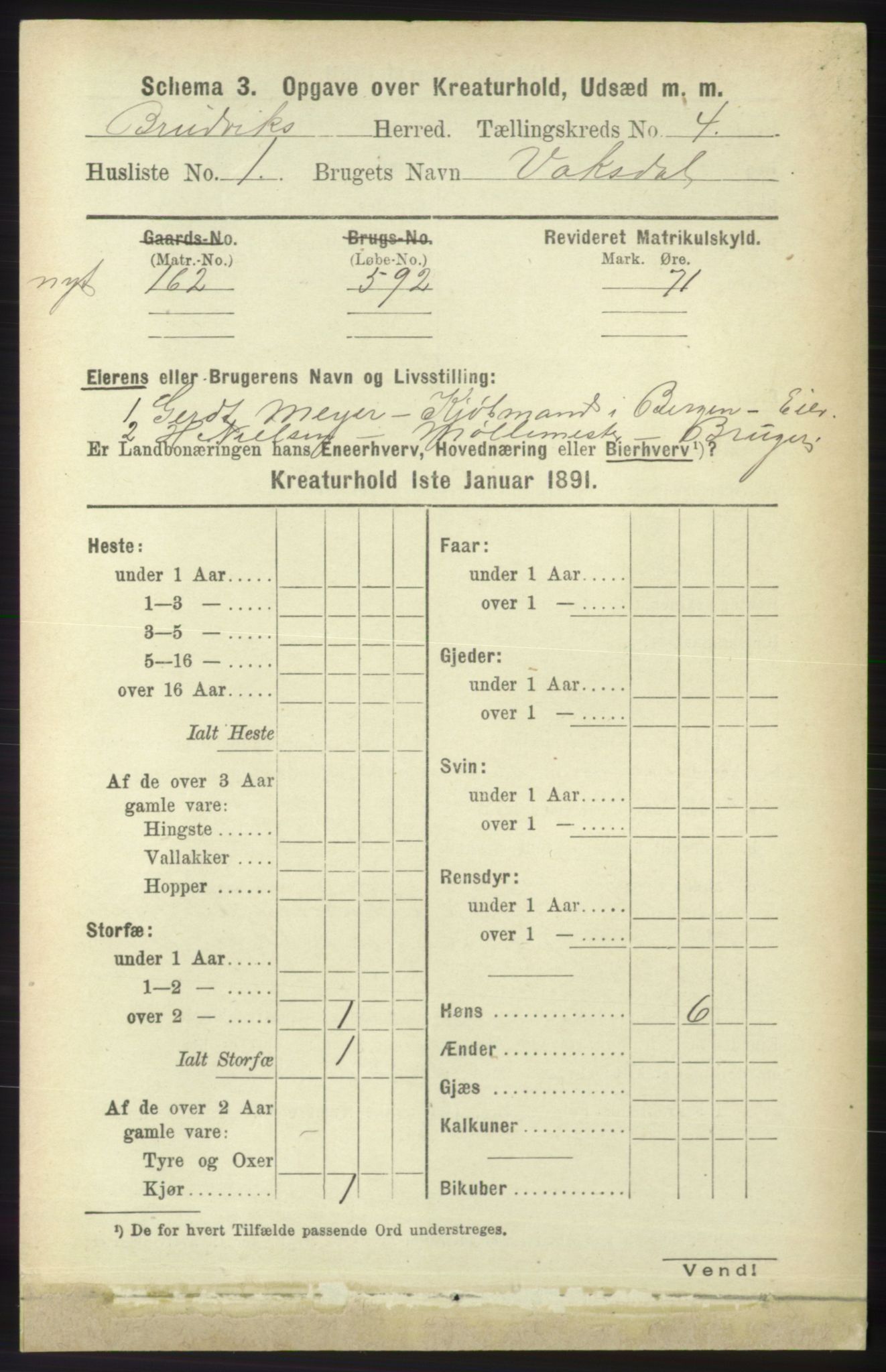 RA, 1891 census for 1251 Bruvik, 1891, p. 4394