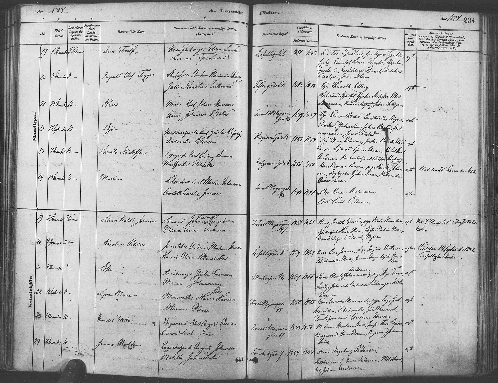 Paulus prestekontor Kirkebøker, AV/SAO-A-10871/F/Fa/L0003: Parish register (official) no. 3, 1879-1887, p. 234