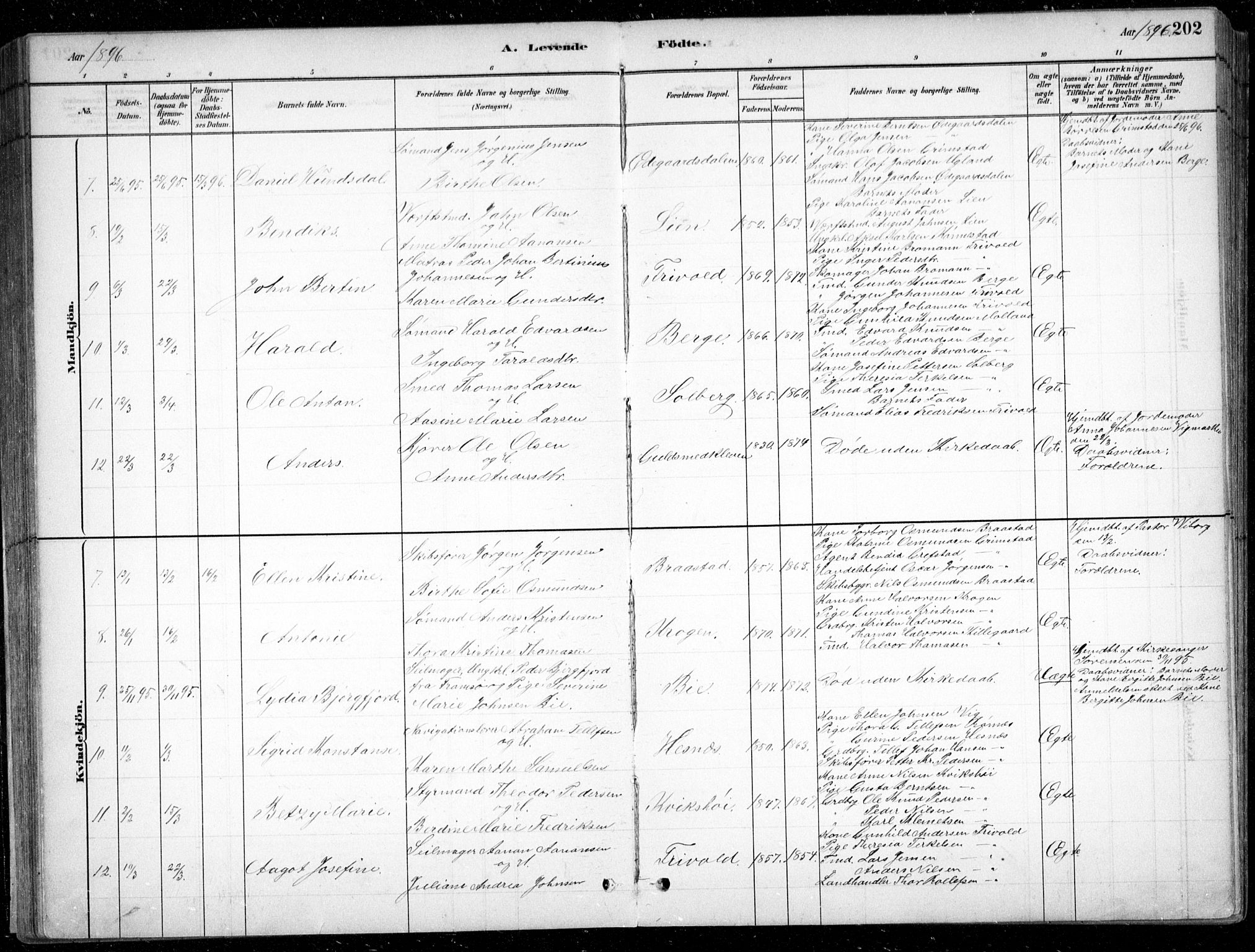 Fjære sokneprestkontor, AV/SAK-1111-0011/F/Fb/L0011: Parish register (copy) no. B 11, 1881-1905, p. 203