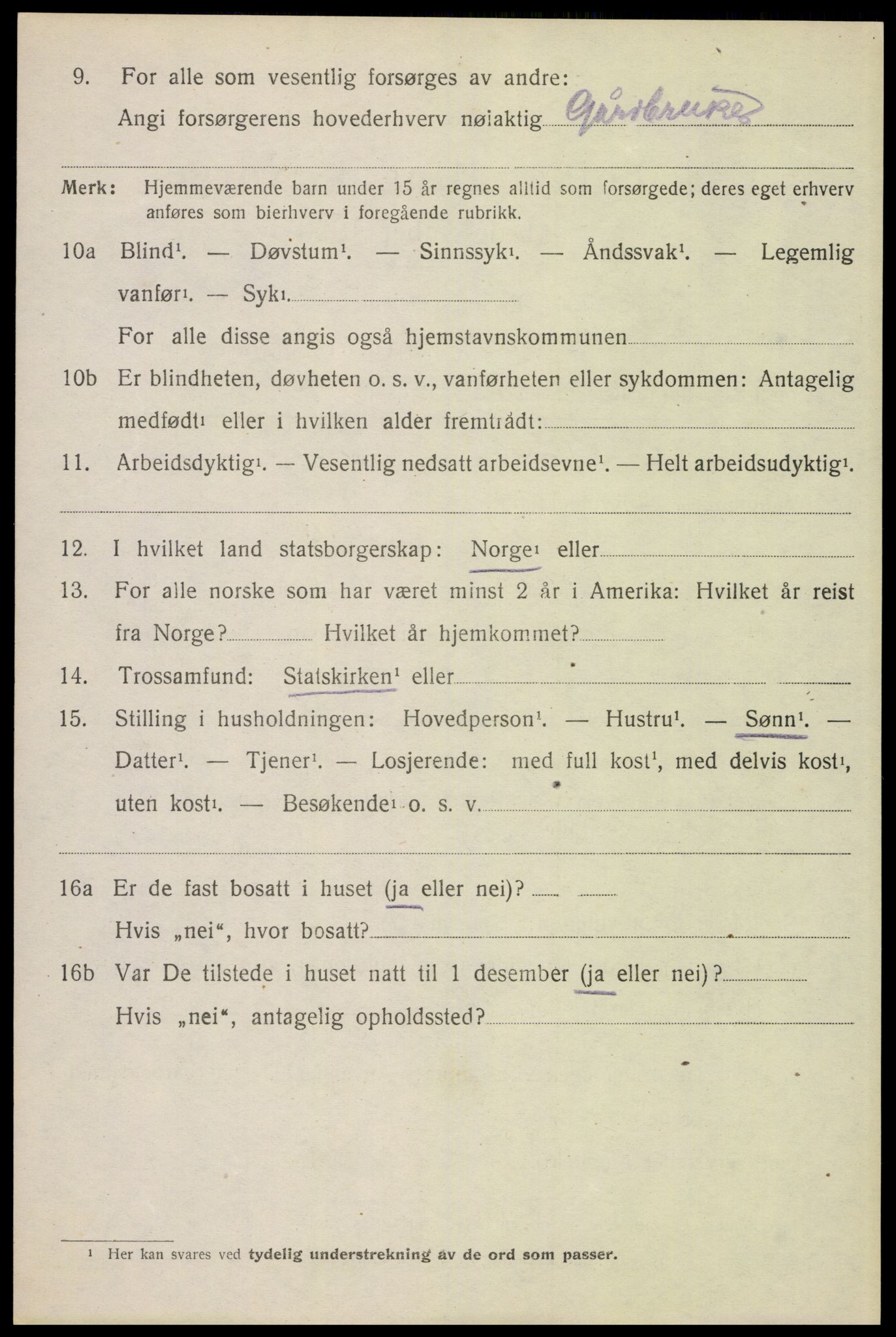 SAH, 1920 census for Åsnes, 1920, p. 13425