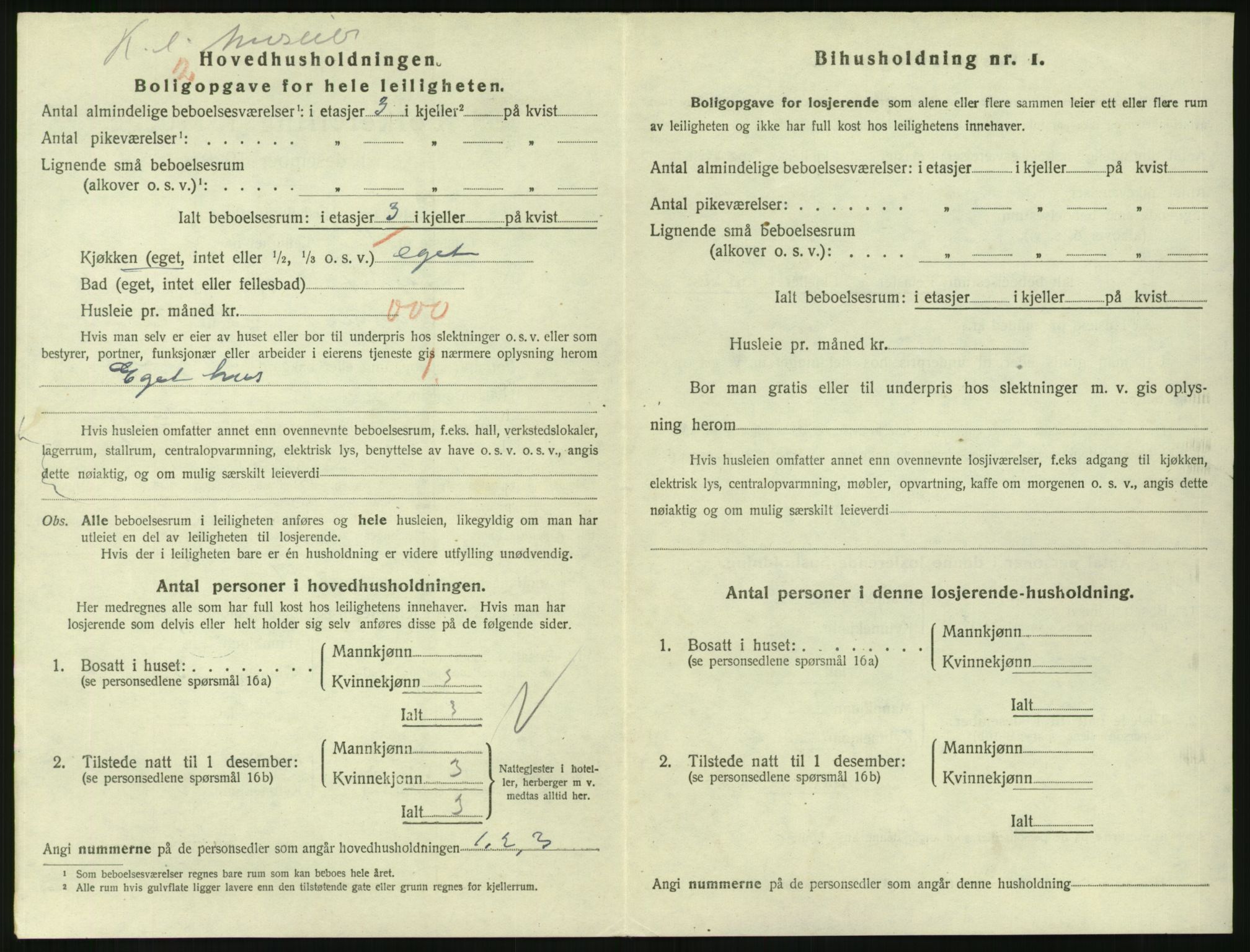 SAKO, 1920 census for Larvik, 1920, p. 4791