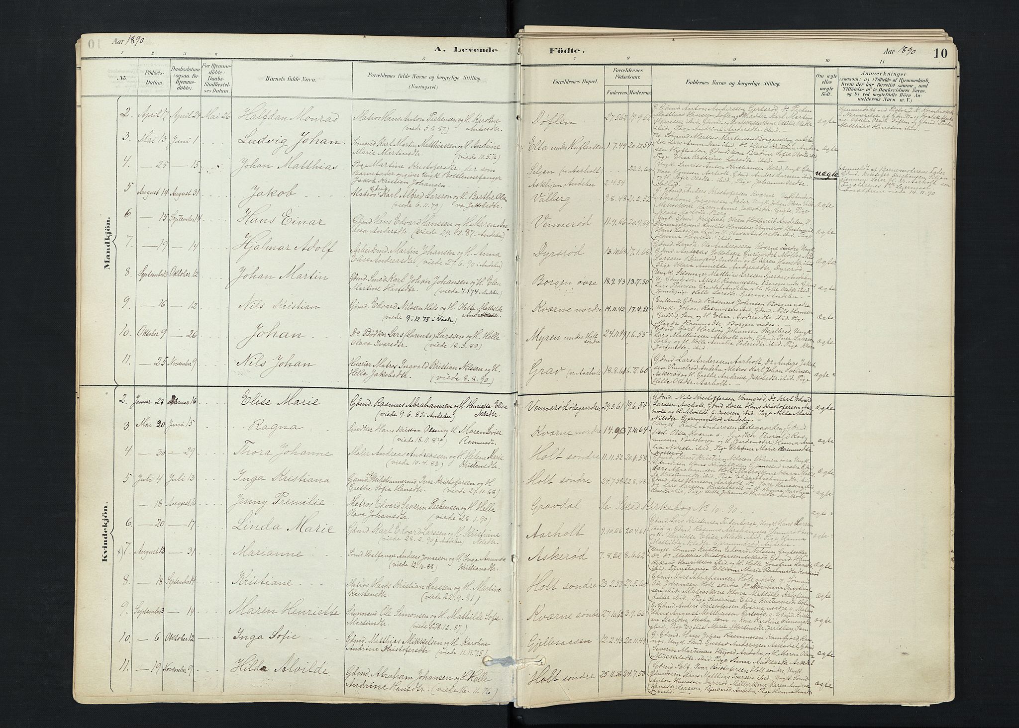 Stokke kirkebøker, SAKO/A-320/F/Fc/L0001: Parish register (official) no. III 1, 1884-1910, p. 10
