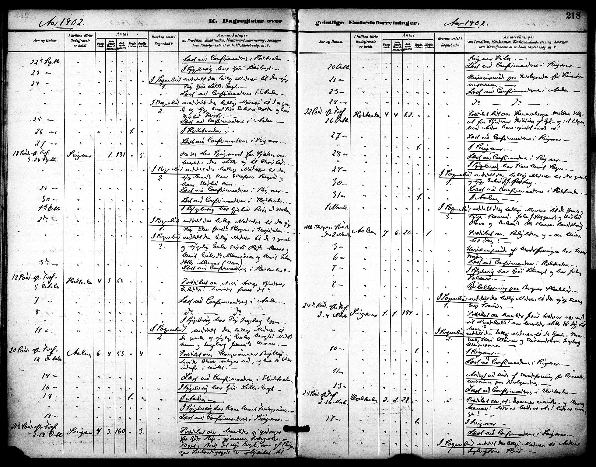 Ministerialprotokoller, klokkerbøker og fødselsregistre - Sør-Trøndelag, AV/SAT-A-1456/686/L0984: Parish register (official) no. 686A02, 1891-1906, p. 218