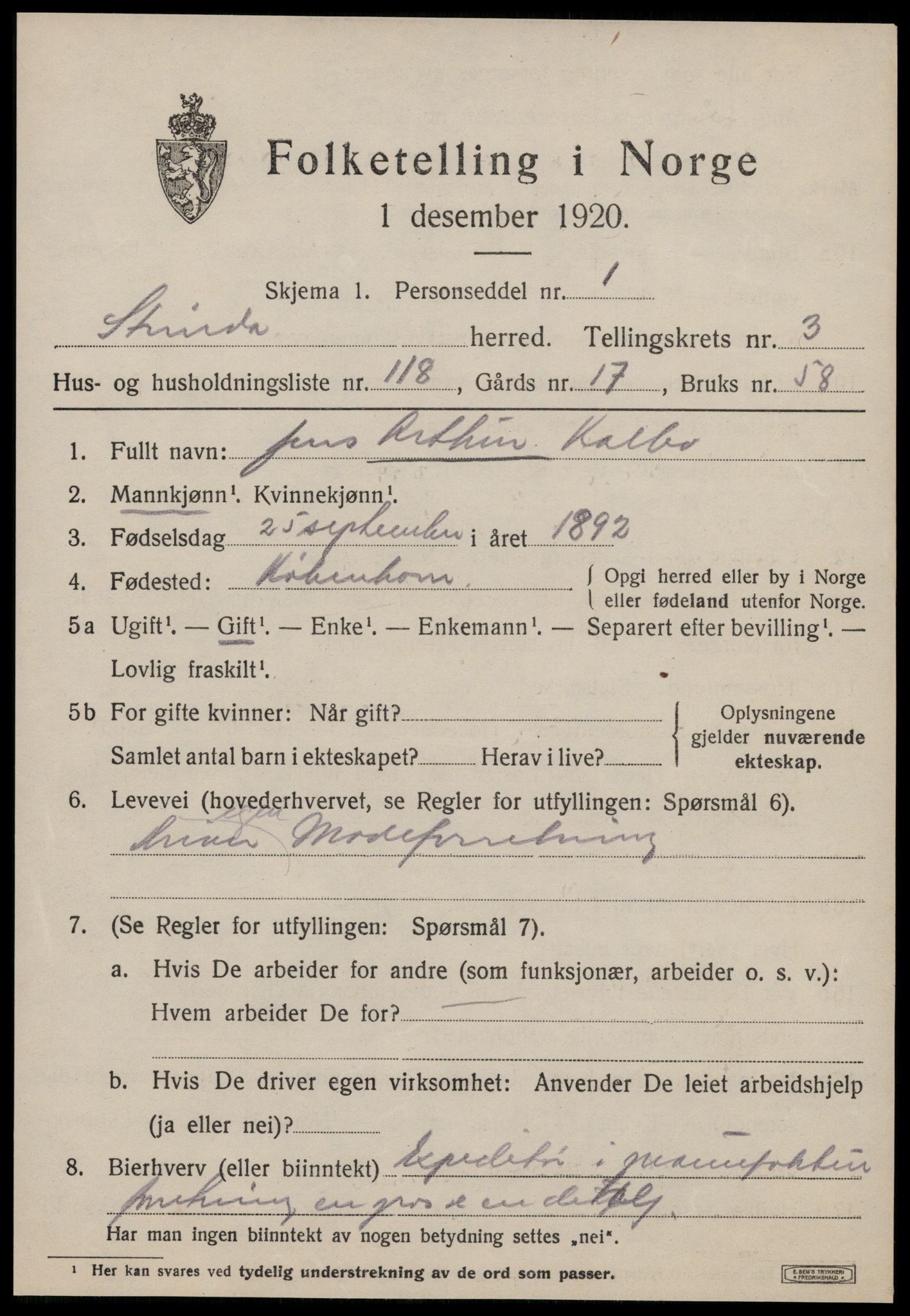 SAT, 1920 census for Strinda, 1920, p. 12638