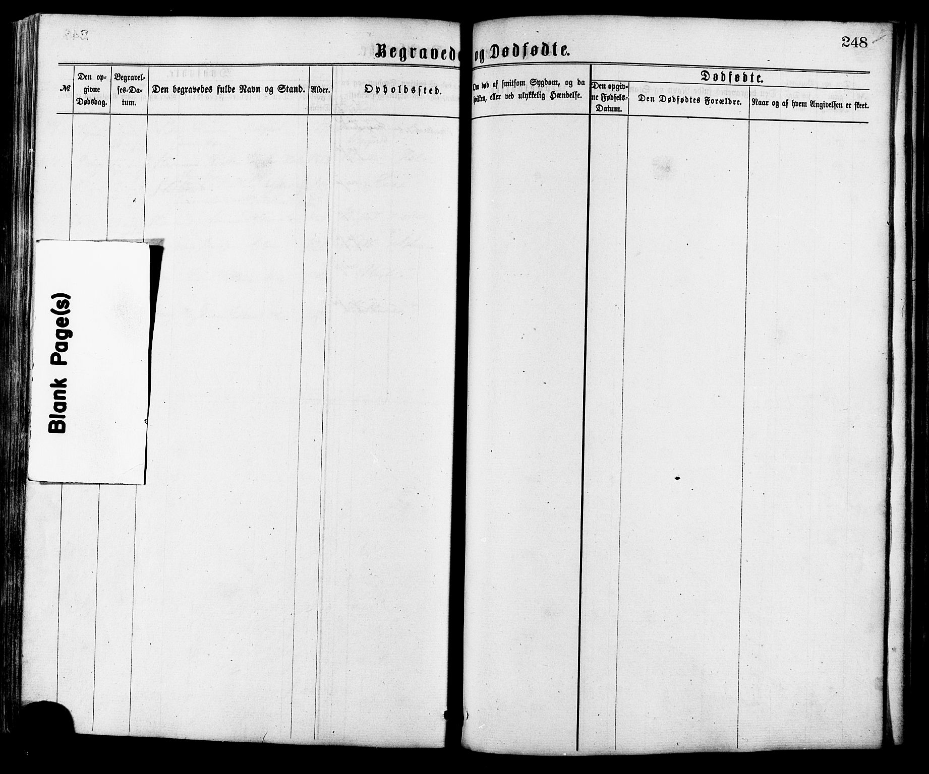 Ministerialprotokoller, klokkerbøker og fødselsregistre - Møre og Romsdal, SAT/A-1454/515/L0210: Parish register (official) no. 515A06, 1868-1885, p. 248