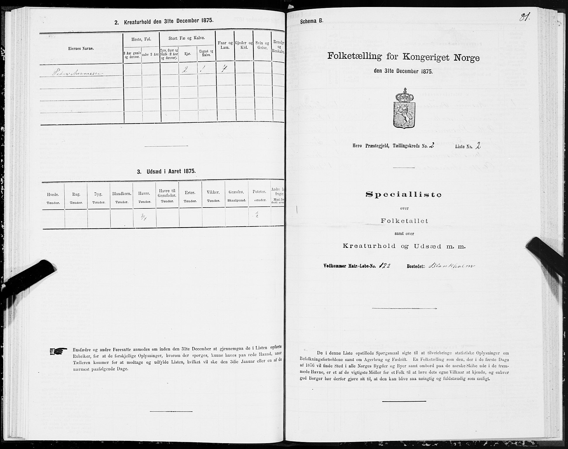 SAT, 1875 census for 1515P Herøy, 1875, p. 1081