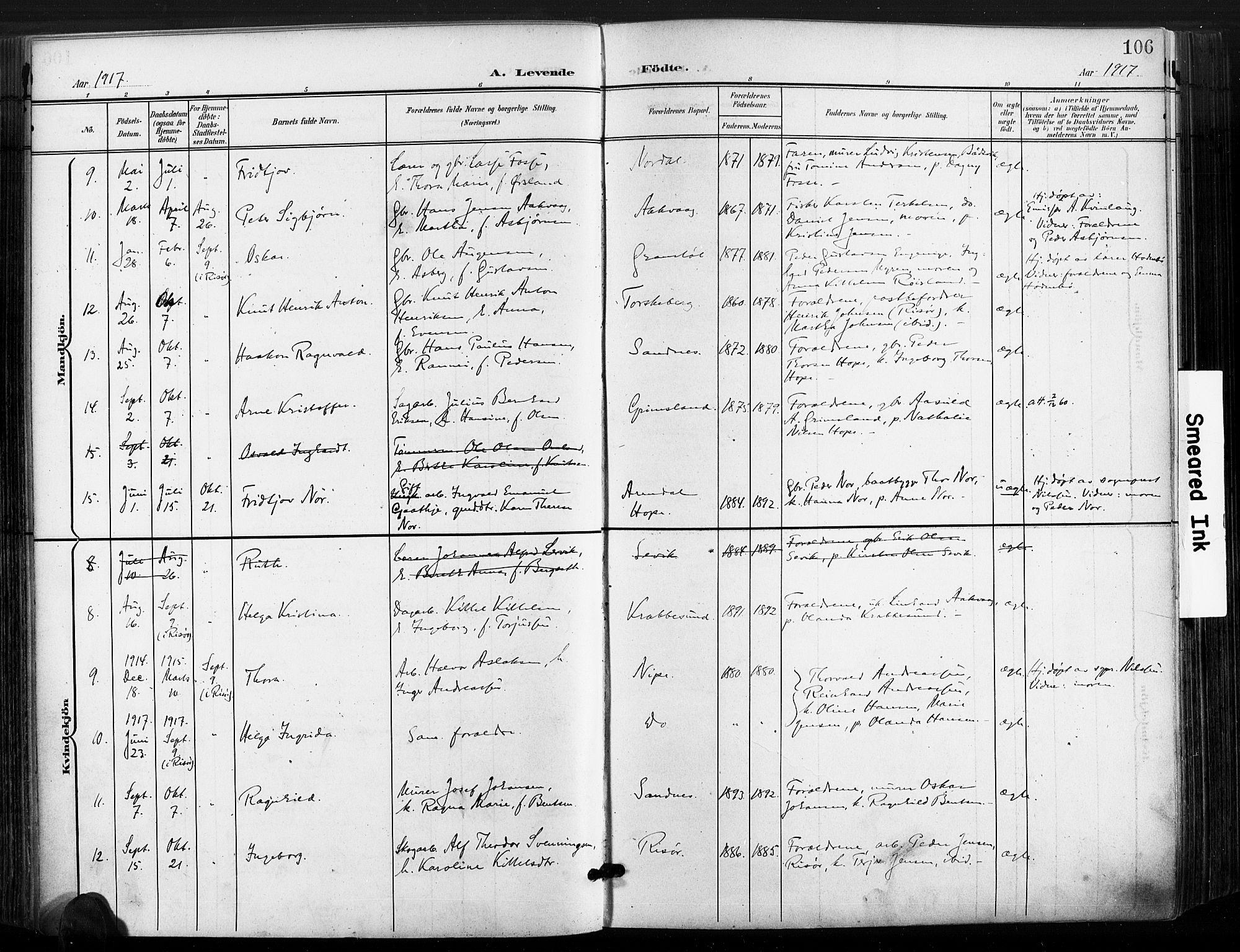 Søndeled sokneprestkontor, AV/SAK-1111-0038/F/Fa/L0006: Parish register (official) no. A 6, 1900-1922, p. 106