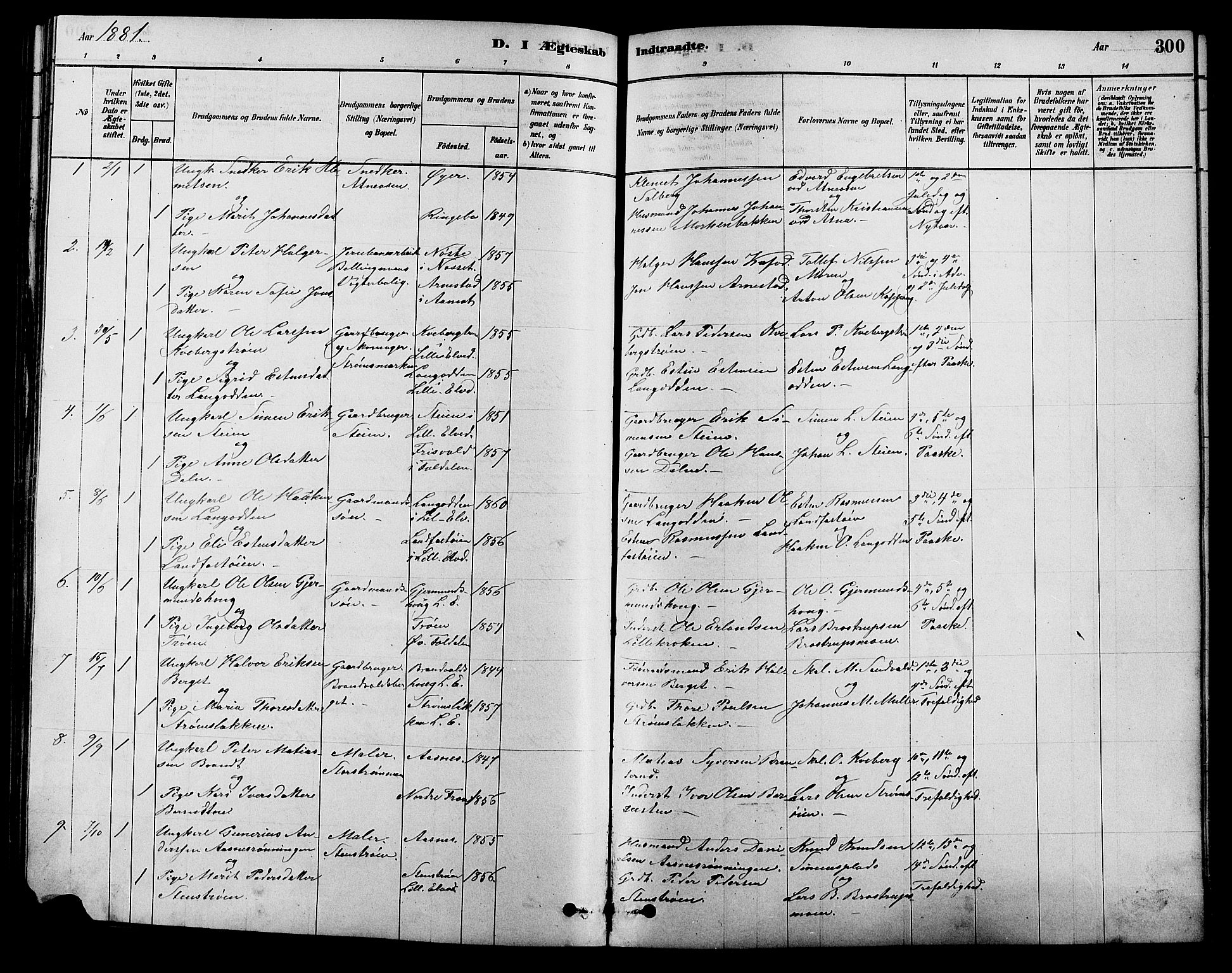 Alvdal prestekontor, SAH/PREST-060/H/Ha/Hab/L0003: Parish register (copy) no. 3, 1878-1907, p. 300