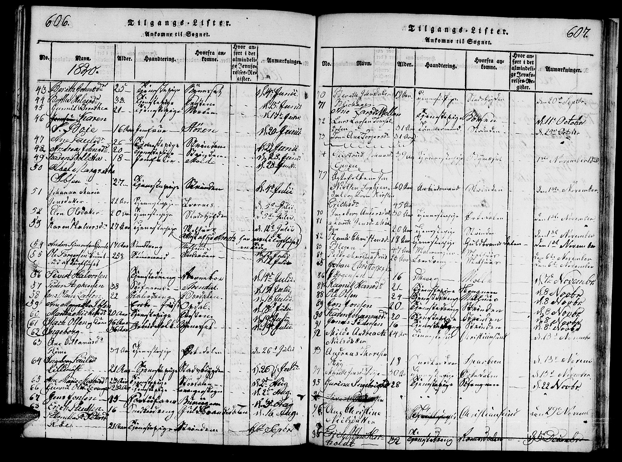 Ministerialprotokoller, klokkerbøker og fødselsregistre - Sør-Trøndelag, SAT/A-1456/601/L0043: Parish register (official) no. 601A11, 1815-1821, p. 606-607