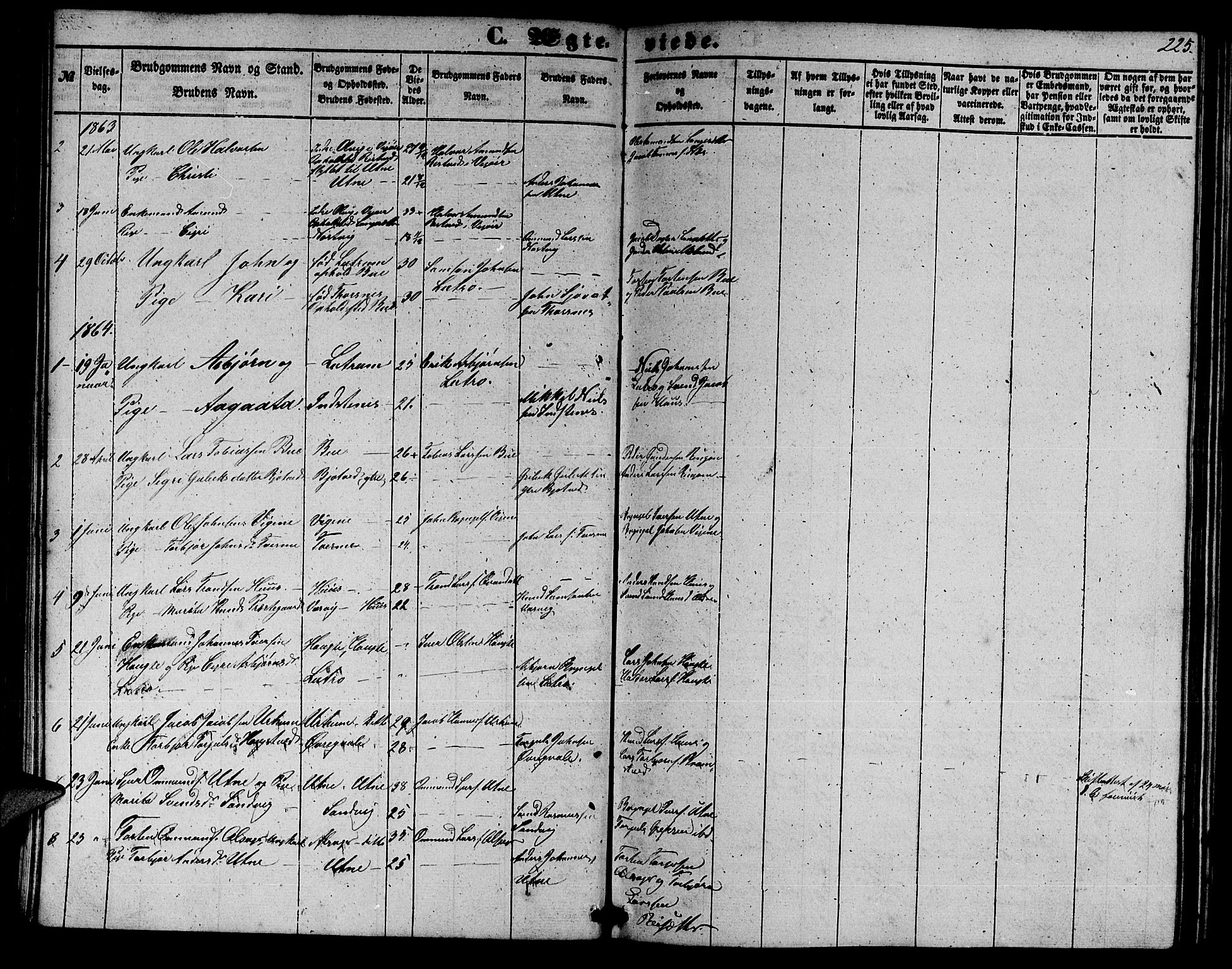Ullensvang sokneprestembete, SAB/A-78701/H/Hab: Parish register (copy) no. E 6, 1857-1886, p. 225