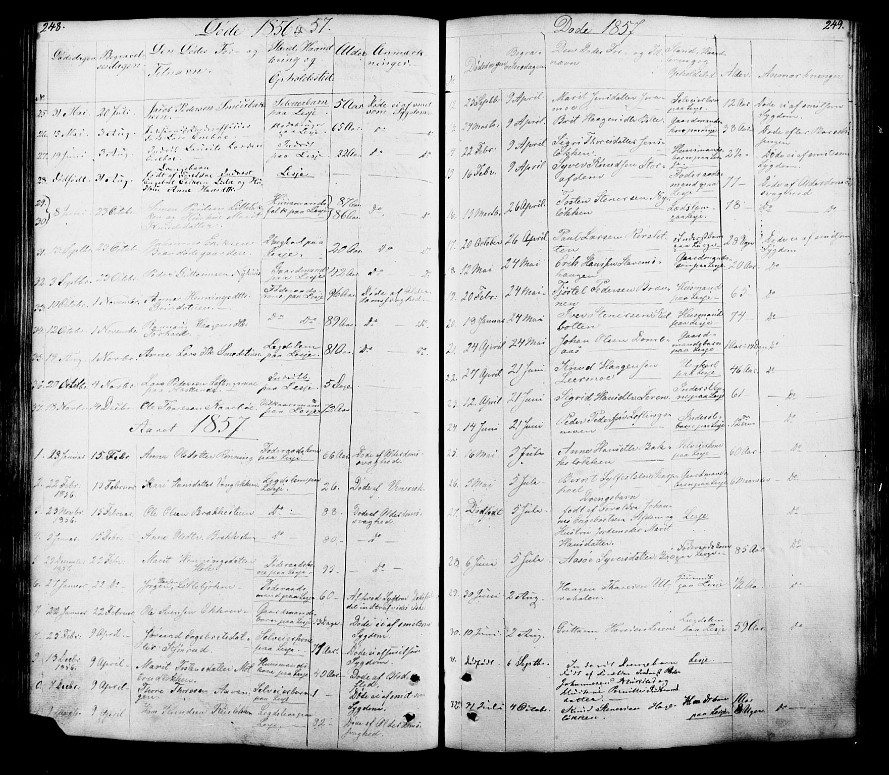 Lesja prestekontor, SAH/PREST-068/H/Ha/Hab/L0005: Parish register (copy) no. 5, 1850-1894, p. 248-249
