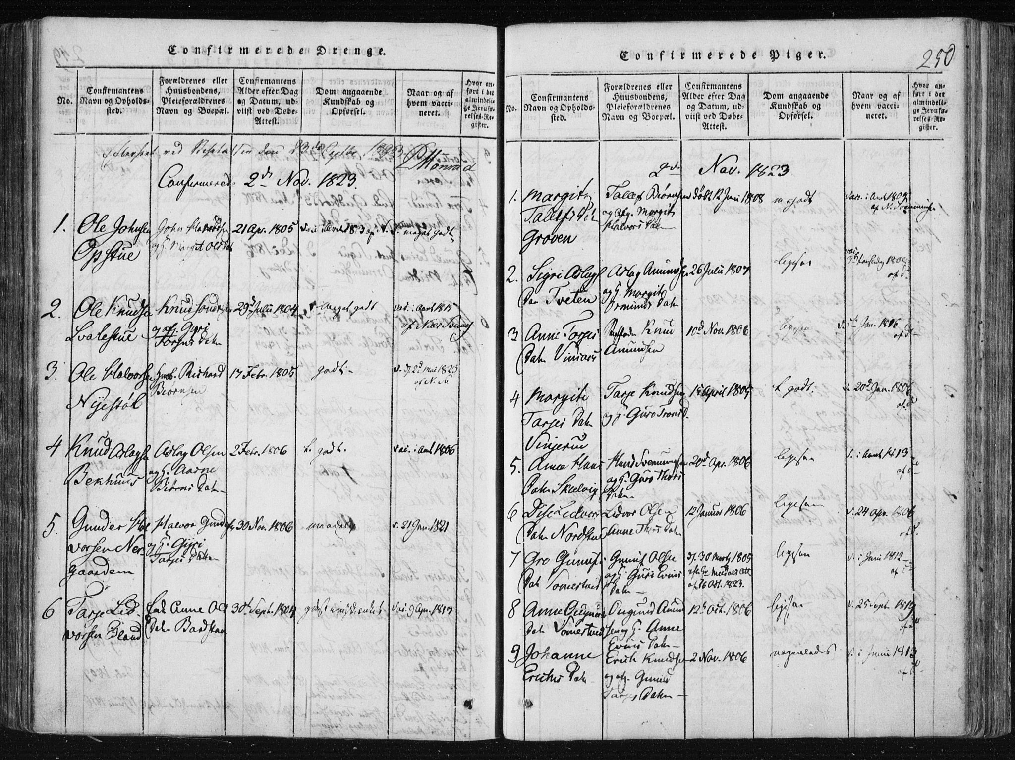 Vinje kirkebøker, SAKO/A-312/F/Fa/L0003: Parish register (official) no. I 3, 1814-1843, p. 250