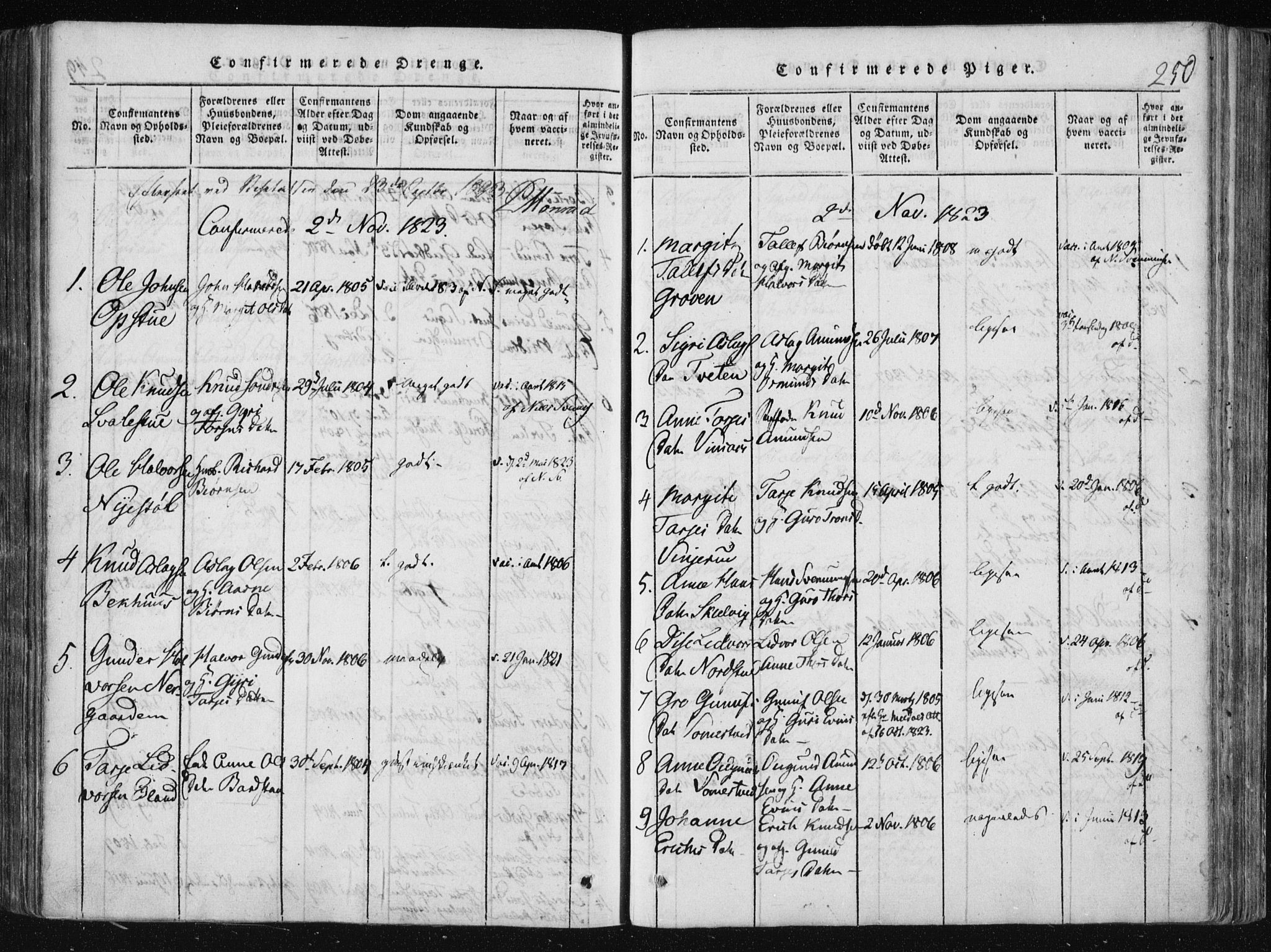 Vinje kirkebøker, AV/SAKO-A-312/F/Fa/L0003: Parish register (official) no. I 3, 1814-1843, p. 250