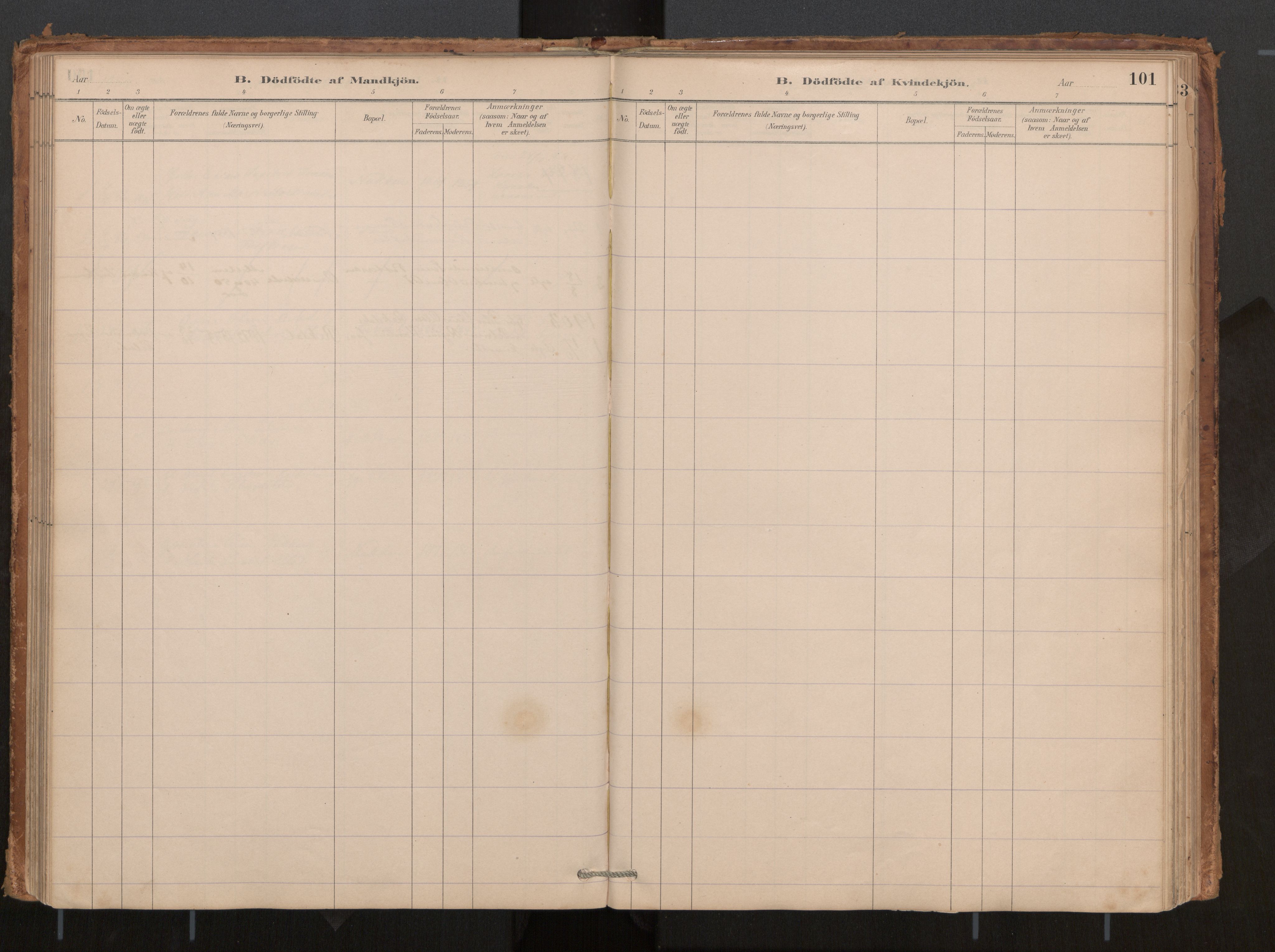 Ministerialprotokoller, klokkerbøker og fødselsregistre - Møre og Romsdal, AV/SAT-A-1454/540/L0540a: Parish register (official) no. 540A02, 1884-1908, p. 101