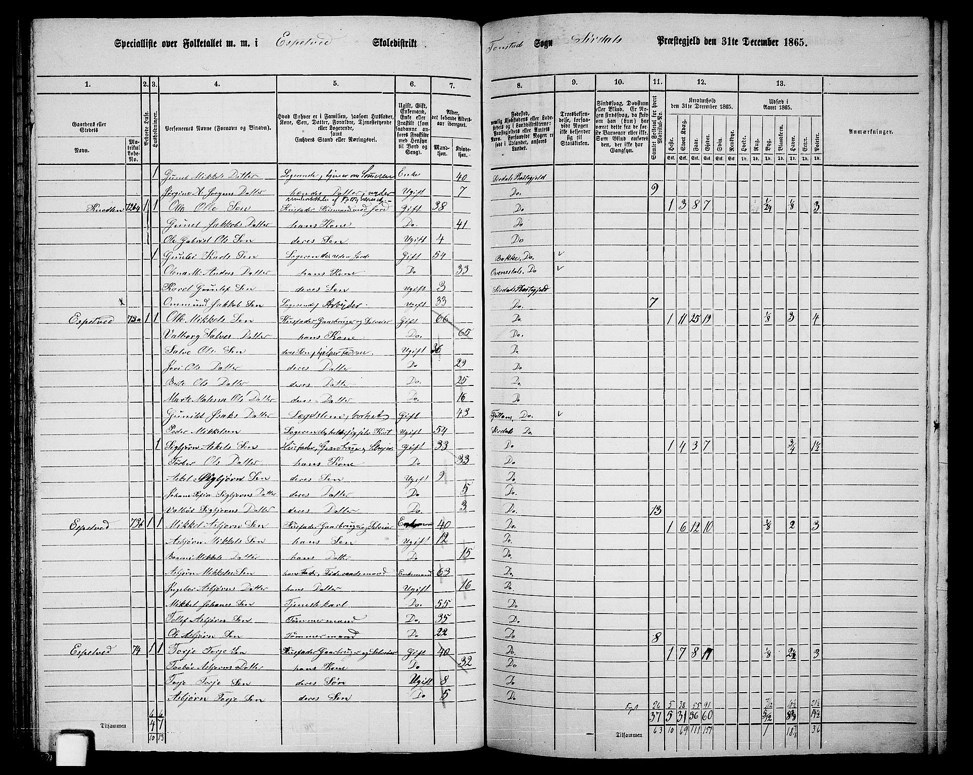 RA, 1865 census for Sirdal, 1865, p. 14