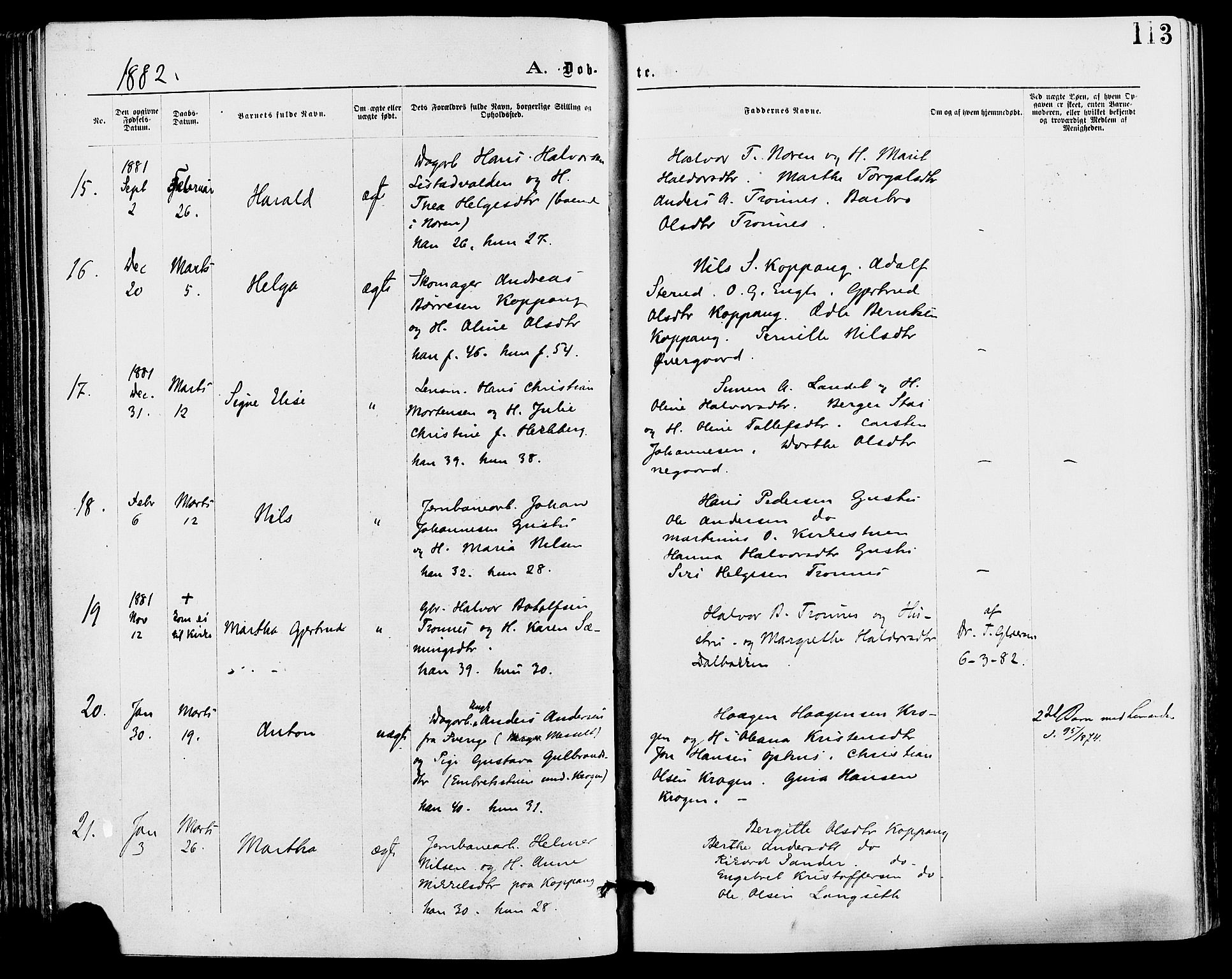 Stor-Elvdal prestekontor, AV/SAH-PREST-052/H/Ha/Haa/L0001: Parish register (official) no. 1, 1871-1882, p. 113