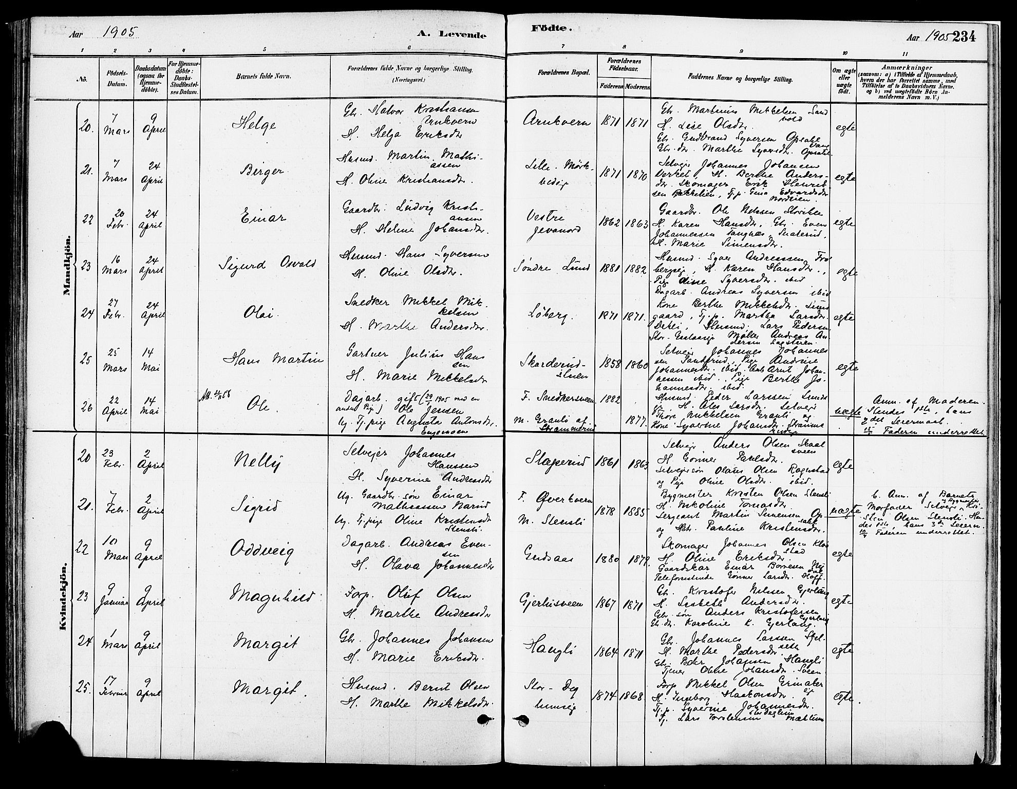 Vang prestekontor, Hedmark, SAH/PREST-008/H/Ha/Haa/L0018A: Parish register (official) no. 18A, 1880-1906, p. 234
