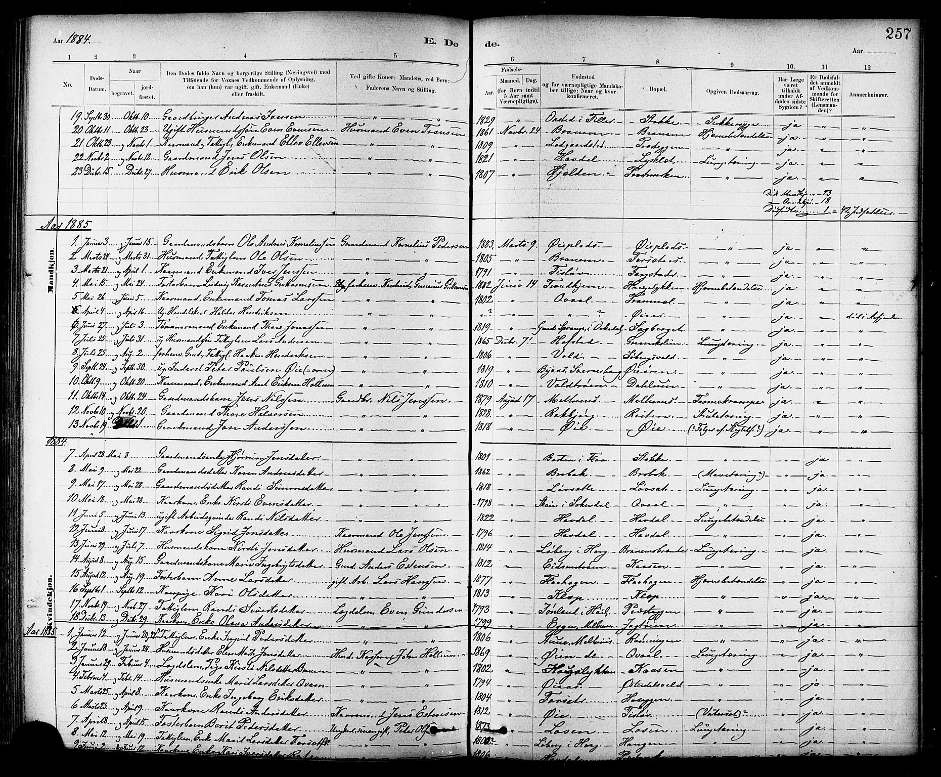 Ministerialprotokoller, klokkerbøker og fødselsregistre - Sør-Trøndelag, SAT/A-1456/691/L1094: Parish register (copy) no. 691C05, 1879-1911, p. 257