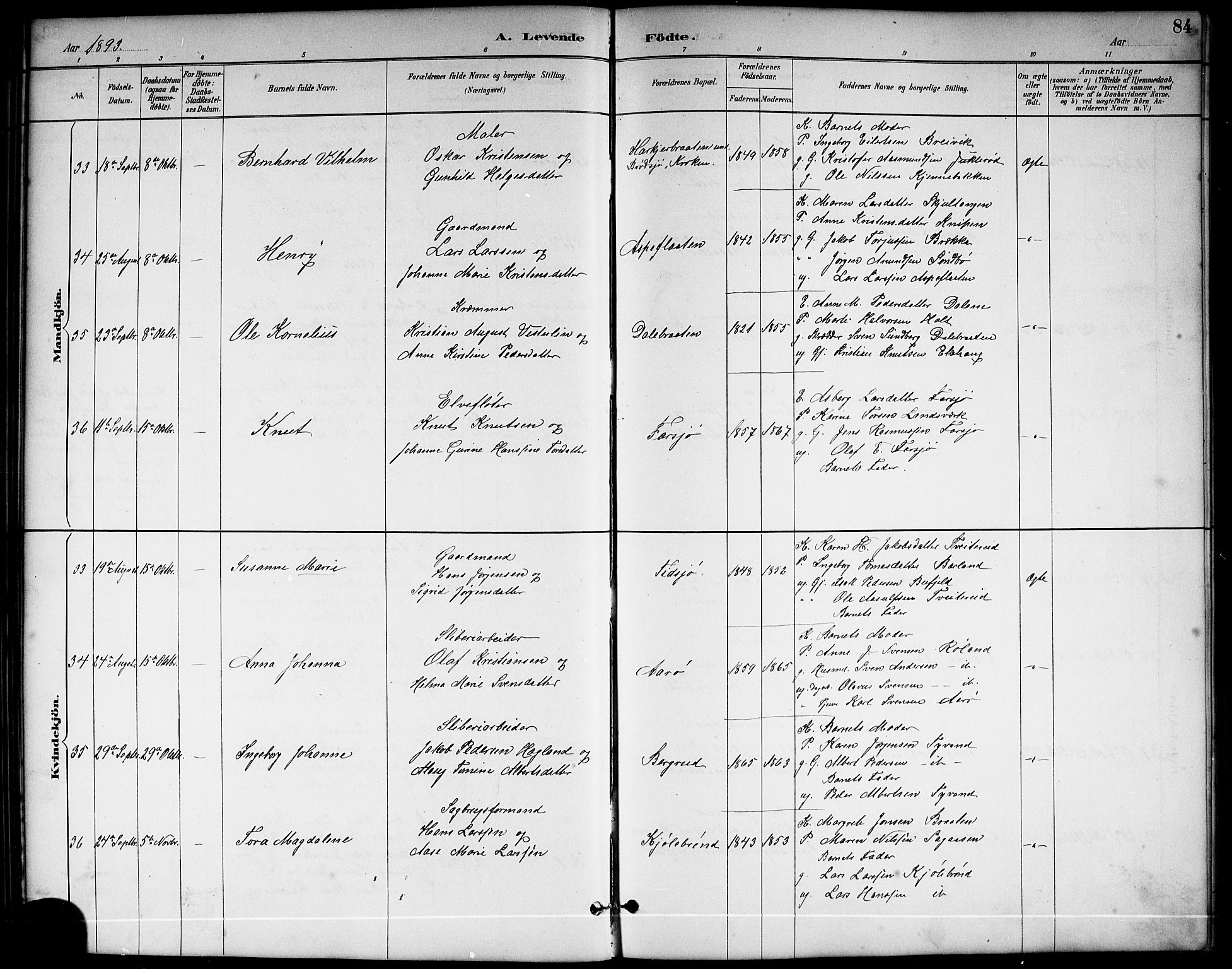 Sannidal kirkebøker, AV/SAKO-A-296/G/Ga/L0003: Parish register (copy) no. 3, 1887-1922, p. 84