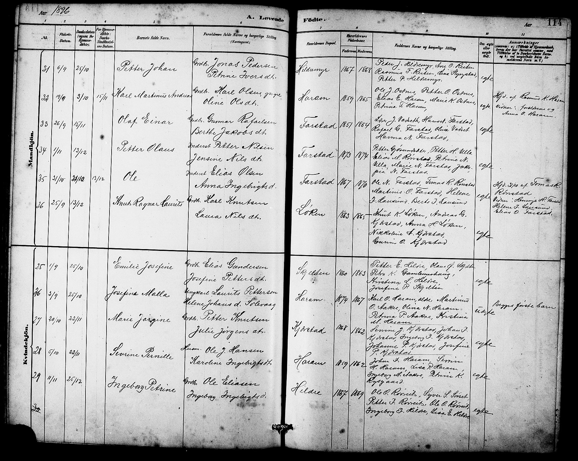 Ministerialprotokoller, klokkerbøker og fødselsregistre - Møre og Romsdal, AV/SAT-A-1454/536/L0510: Parish register (copy) no. 536C05, 1881-1898, p. 114