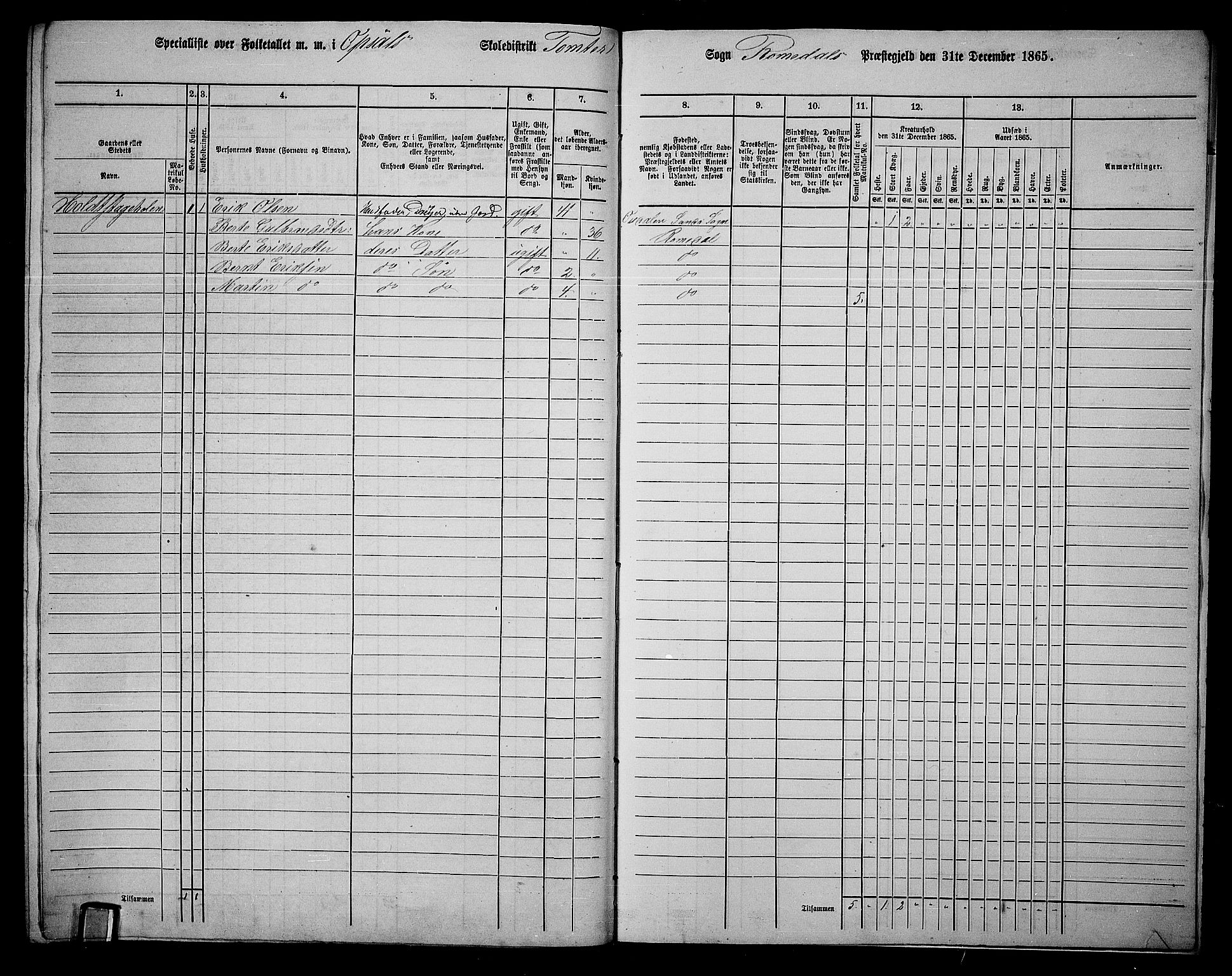 RA, 1865 census for Romedal, 1865, p. 203