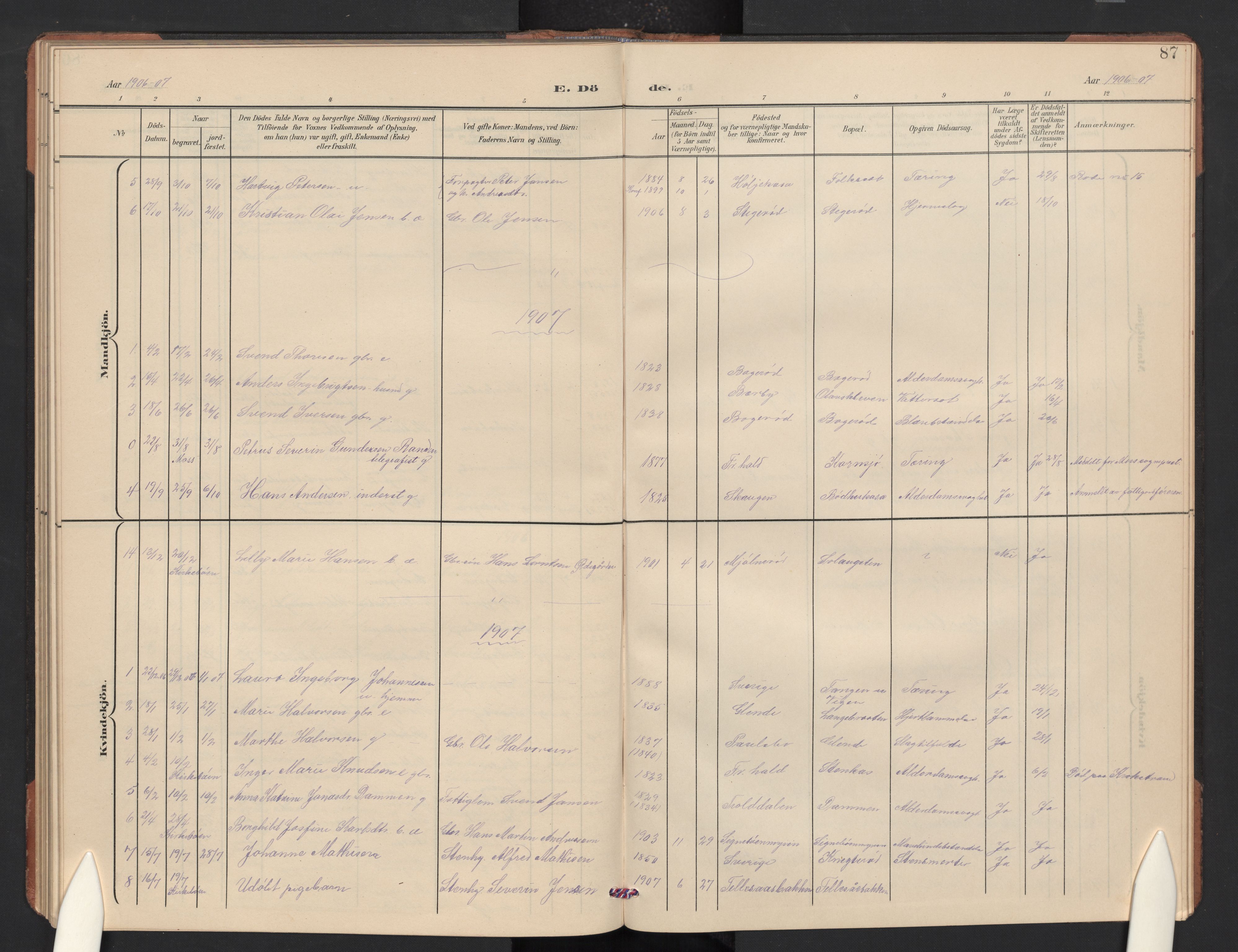 Idd prestekontor Kirkebøker, SAO/A-10911/G/Gc/L0001: Parish register (copy) no. III 1, 1901-1910, p. 87