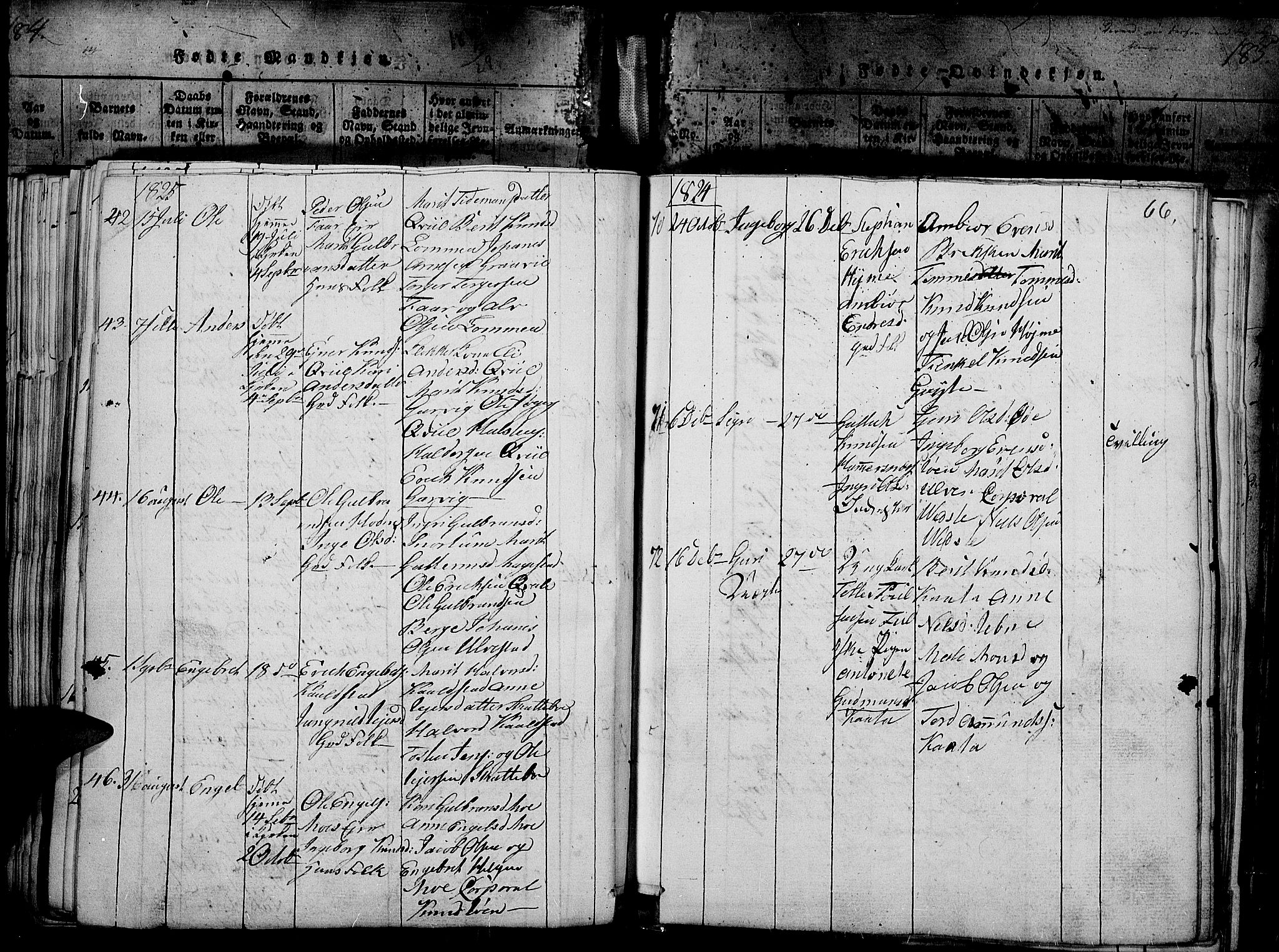 Slidre prestekontor, AV/SAH-PREST-134/H/Ha/Haa/L0002: Parish register (official) no. 2, 1814-1830, p. 186p