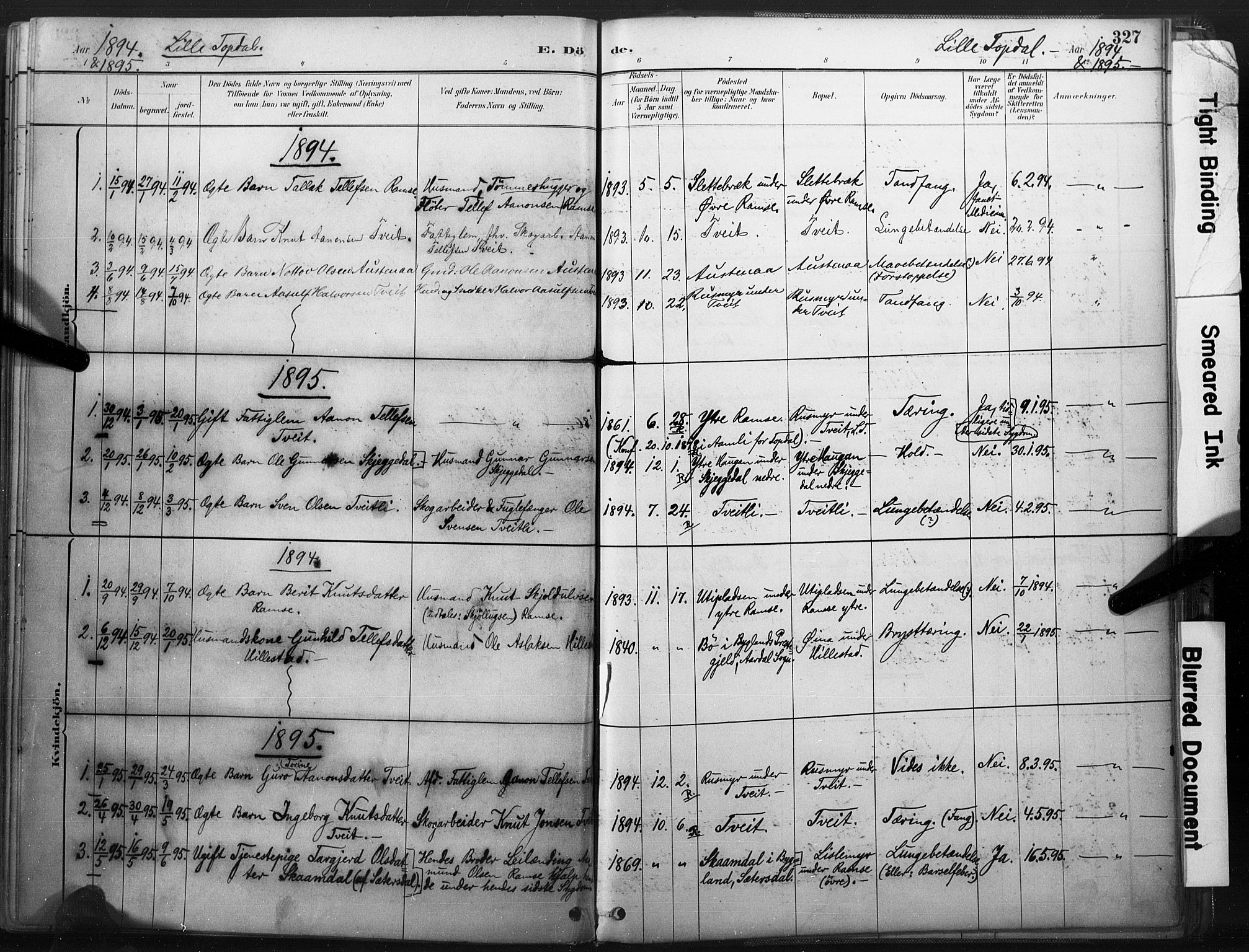 Åmli sokneprestkontor, AV/SAK-1111-0050/F/Fa/Fac/L0010: Parish register (official) no. A 10 /3, 1885-1899, p. 327