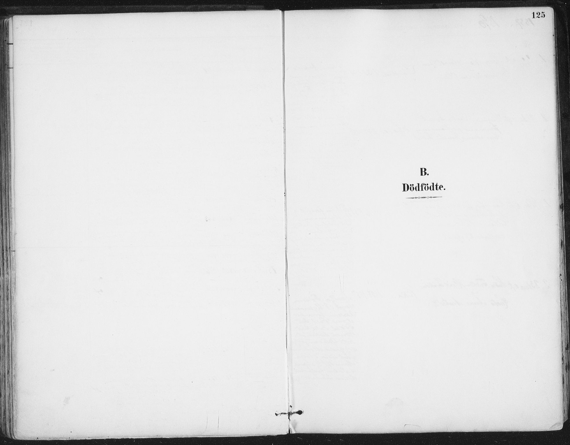 Ministerialprotokoller, klokkerbøker og fødselsregistre - Nordland, AV/SAT-A-1459/816/L0244: Parish register (official) no. 816A10, 1886-1903, p. 125