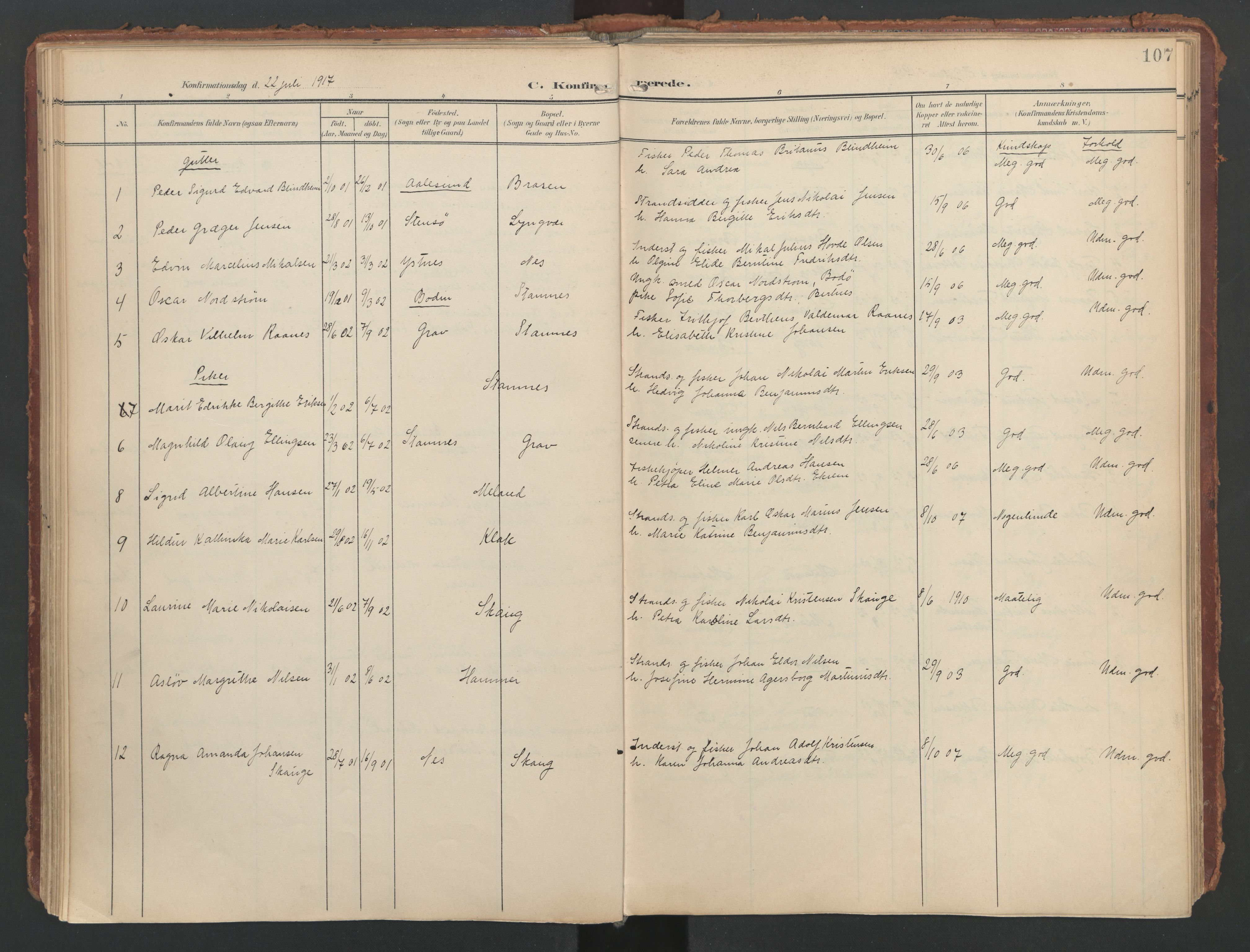 Ministerialprotokoller, klokkerbøker og fødselsregistre - Nordland, AV/SAT-A-1459/808/L0129: Parish register (official) no. 808A02, 1903-1931, p. 107